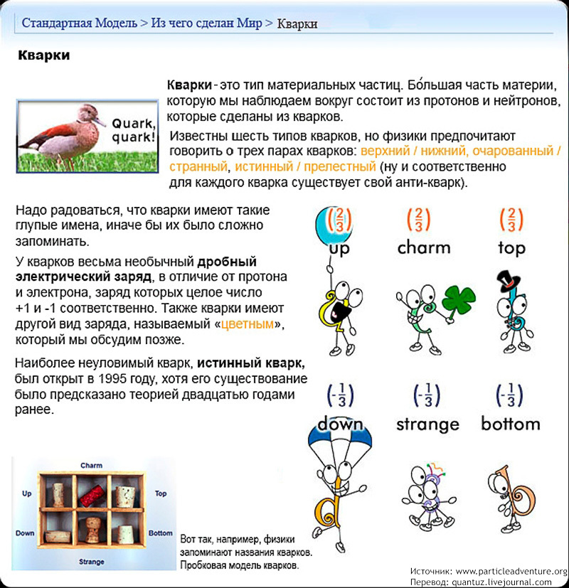 Standard Model. - My, Physics, Nauchpop, Models, Longpost