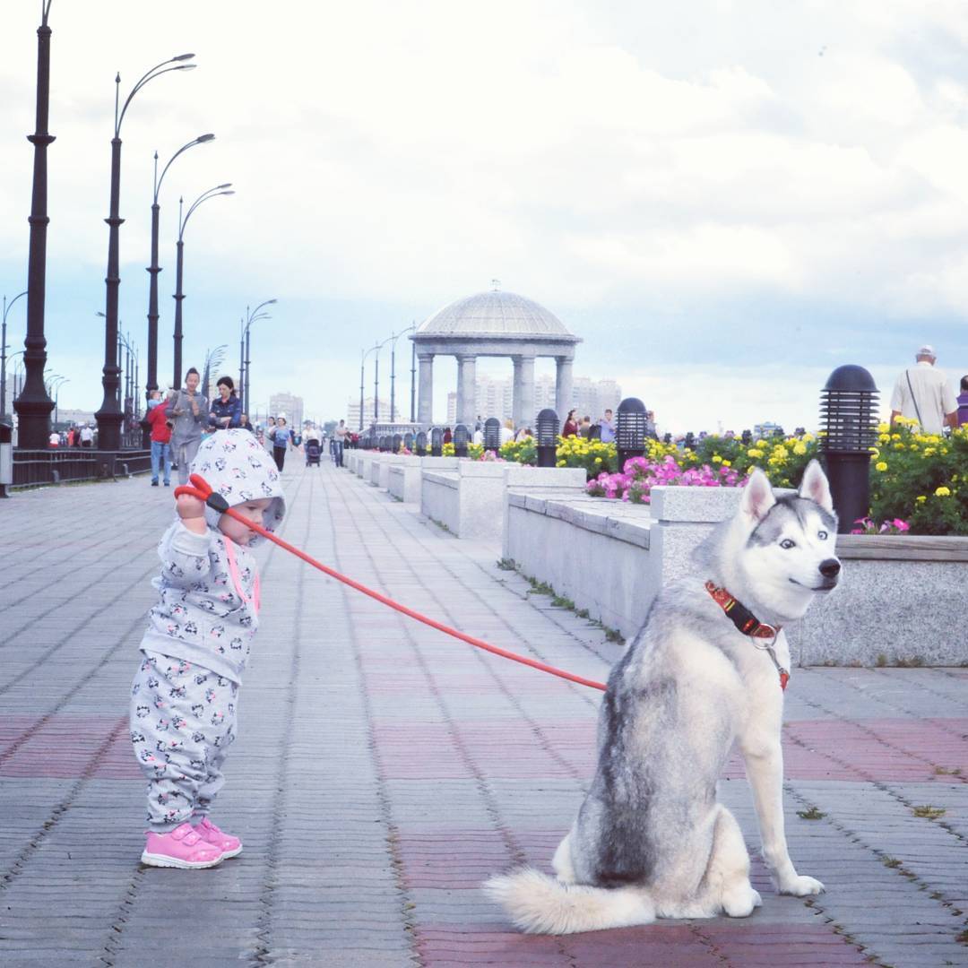 Don't be afraid, I'll keep it. - Dog, Children, The photo, Longpost