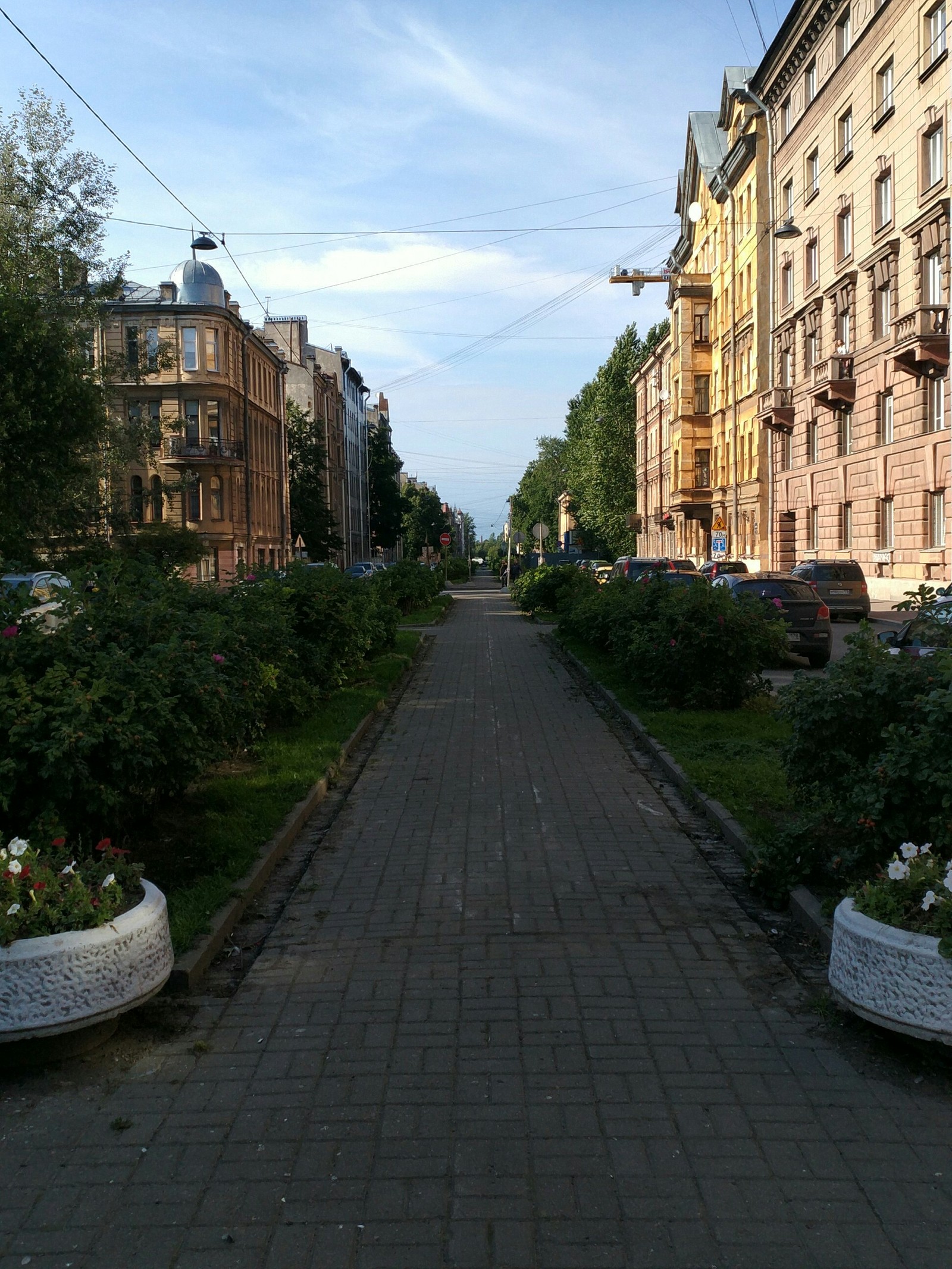 15-16 lines of paradise - My, Saint Petersburg, The photo, beauty, Vasilievsky Island, Joseph Brodsky, , Poems