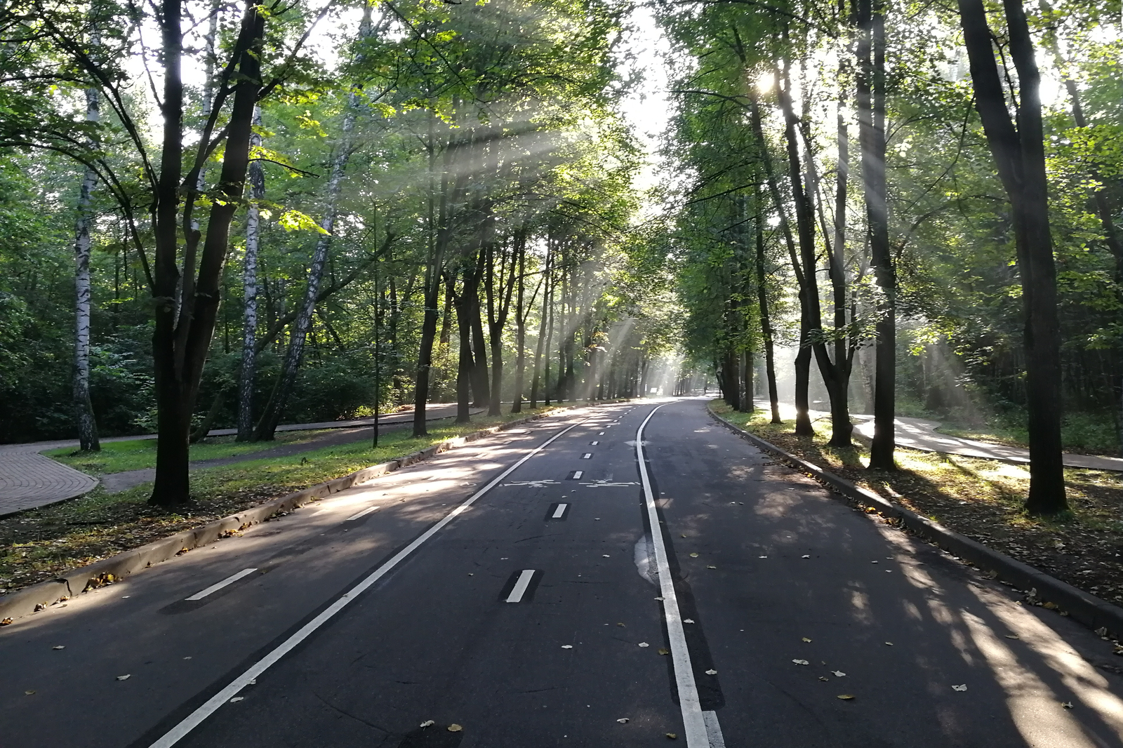 Morning in Sokolniki - My, , Sokolniki, Morning