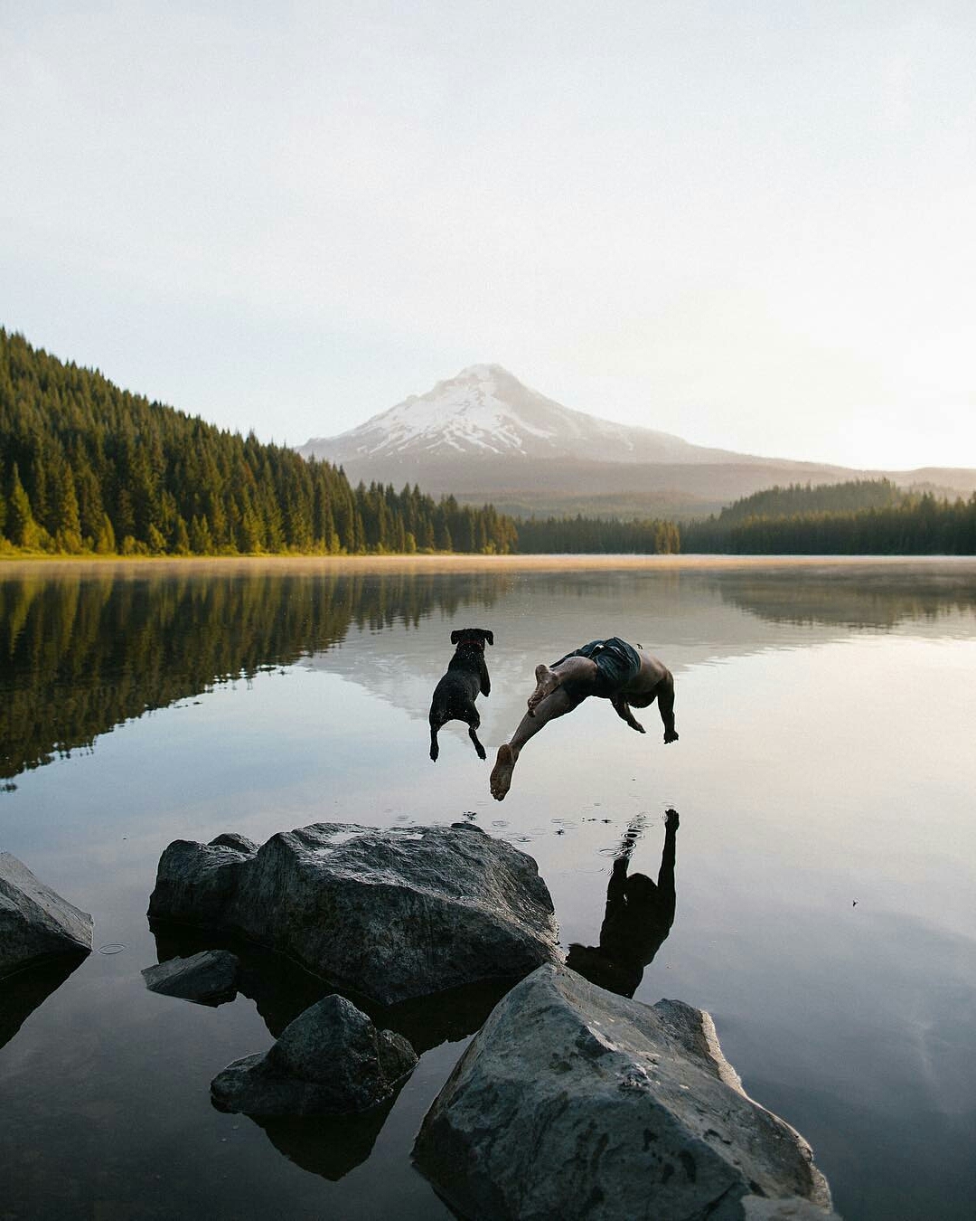 On the last day of summer - Nature, Lake, The photo, Dog