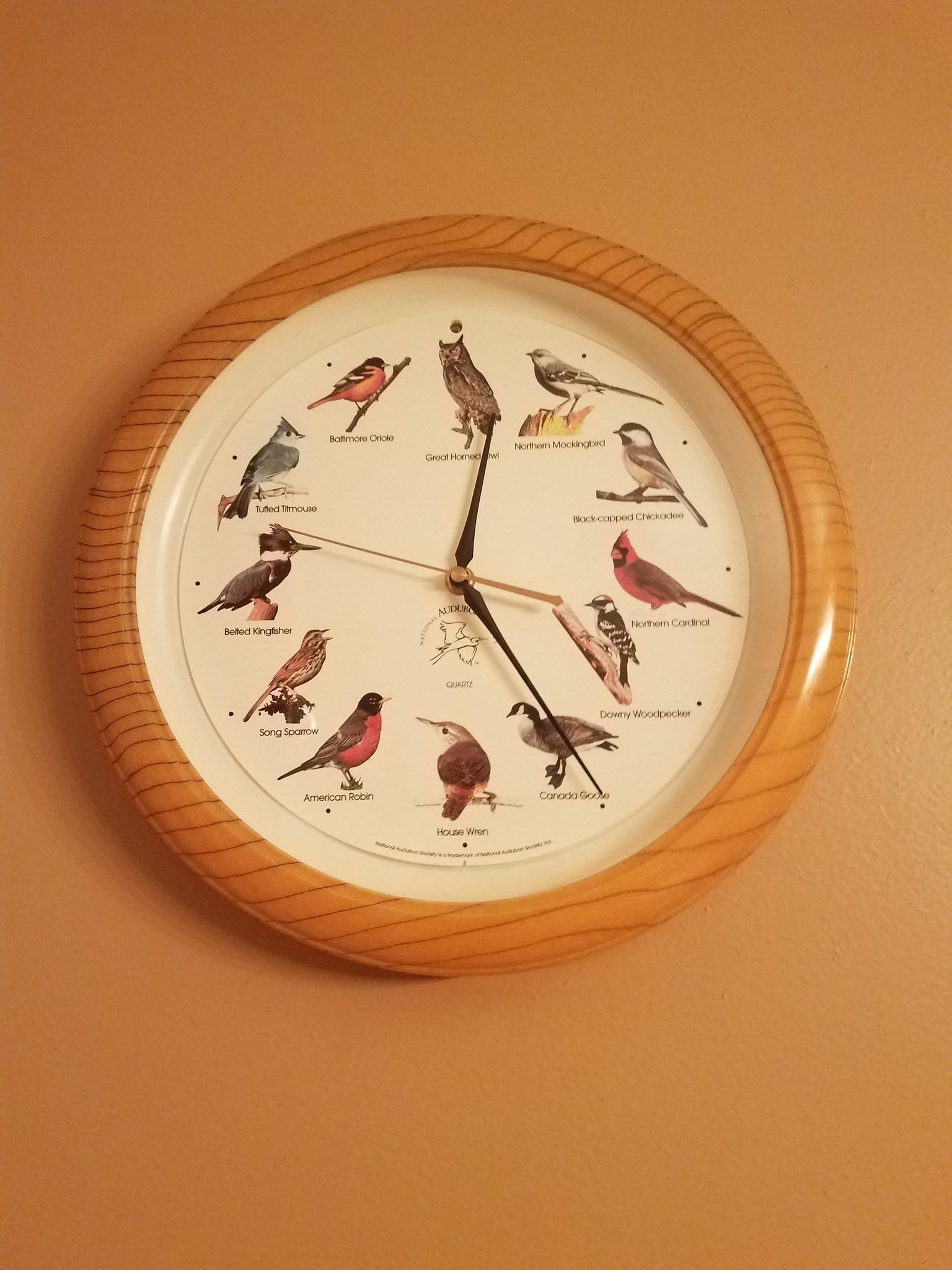 heading - Clock, Birds, Owl