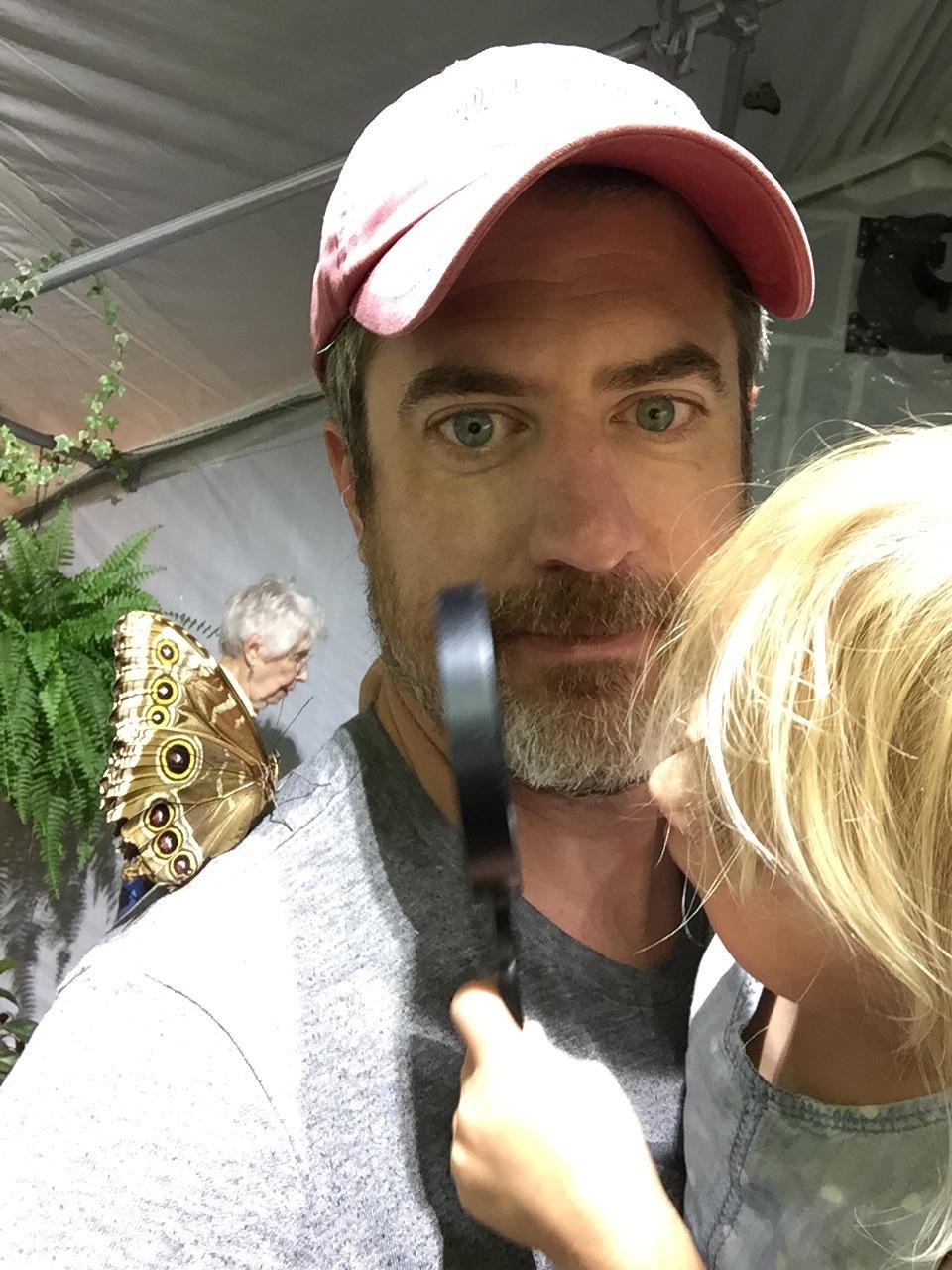 This old lady landed on my shoulder - The photo, Old lady, Butterfly, Magnifier, Reddit