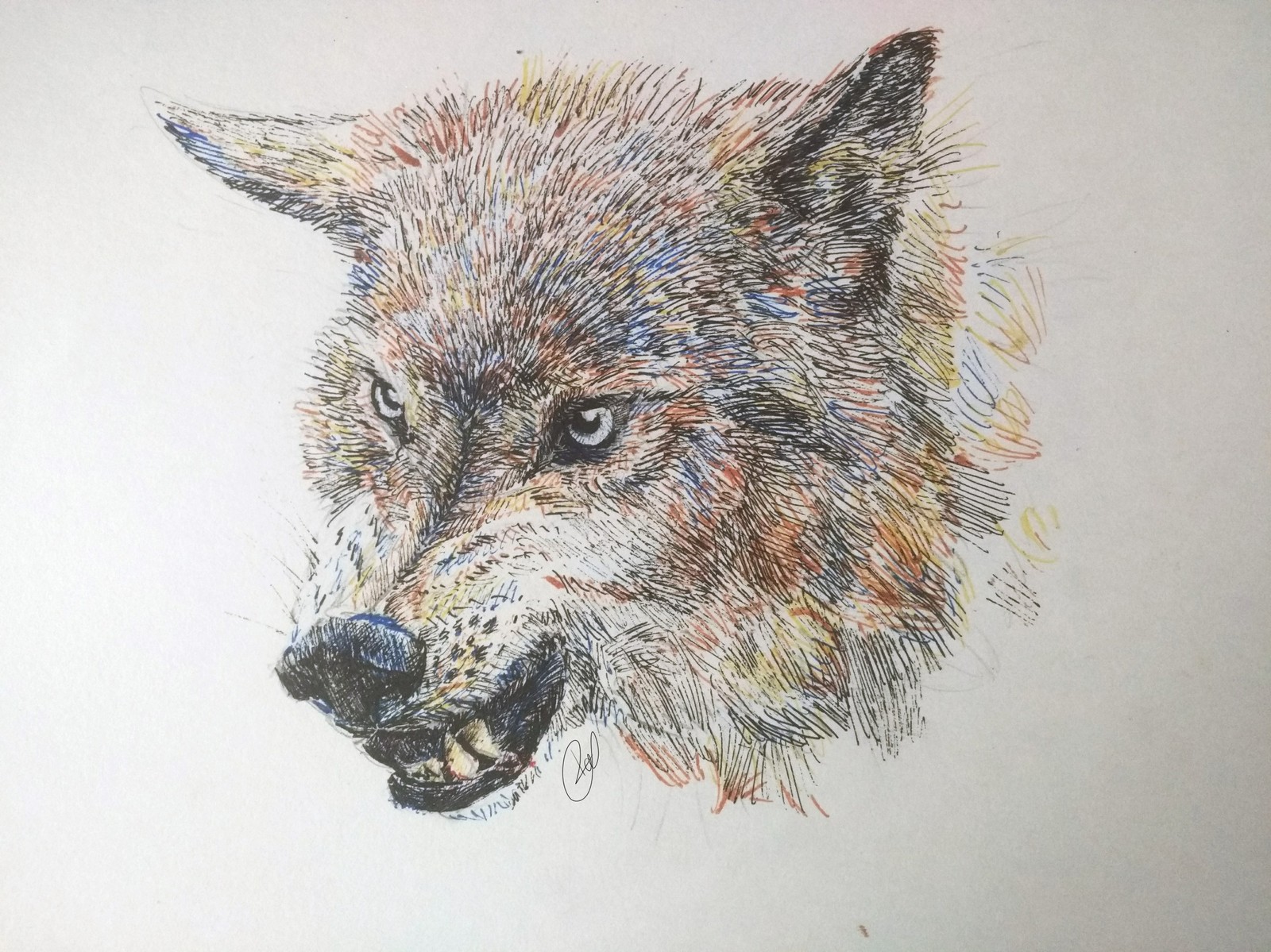 Фасад волка с ручками