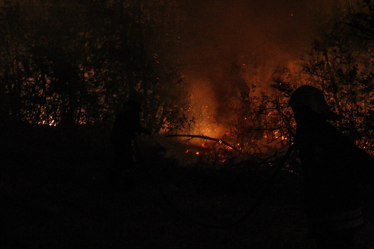 The largest natural fires in Volgograd - My, Ministry of Emergency Situations, Volgograd, Video, Longpost