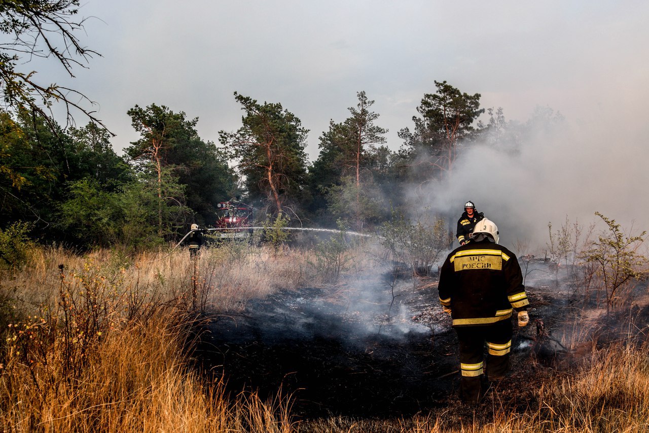 The largest natural fires in Volgograd - My, Ministry of Emergency Situations, Volgograd, Video, Longpost