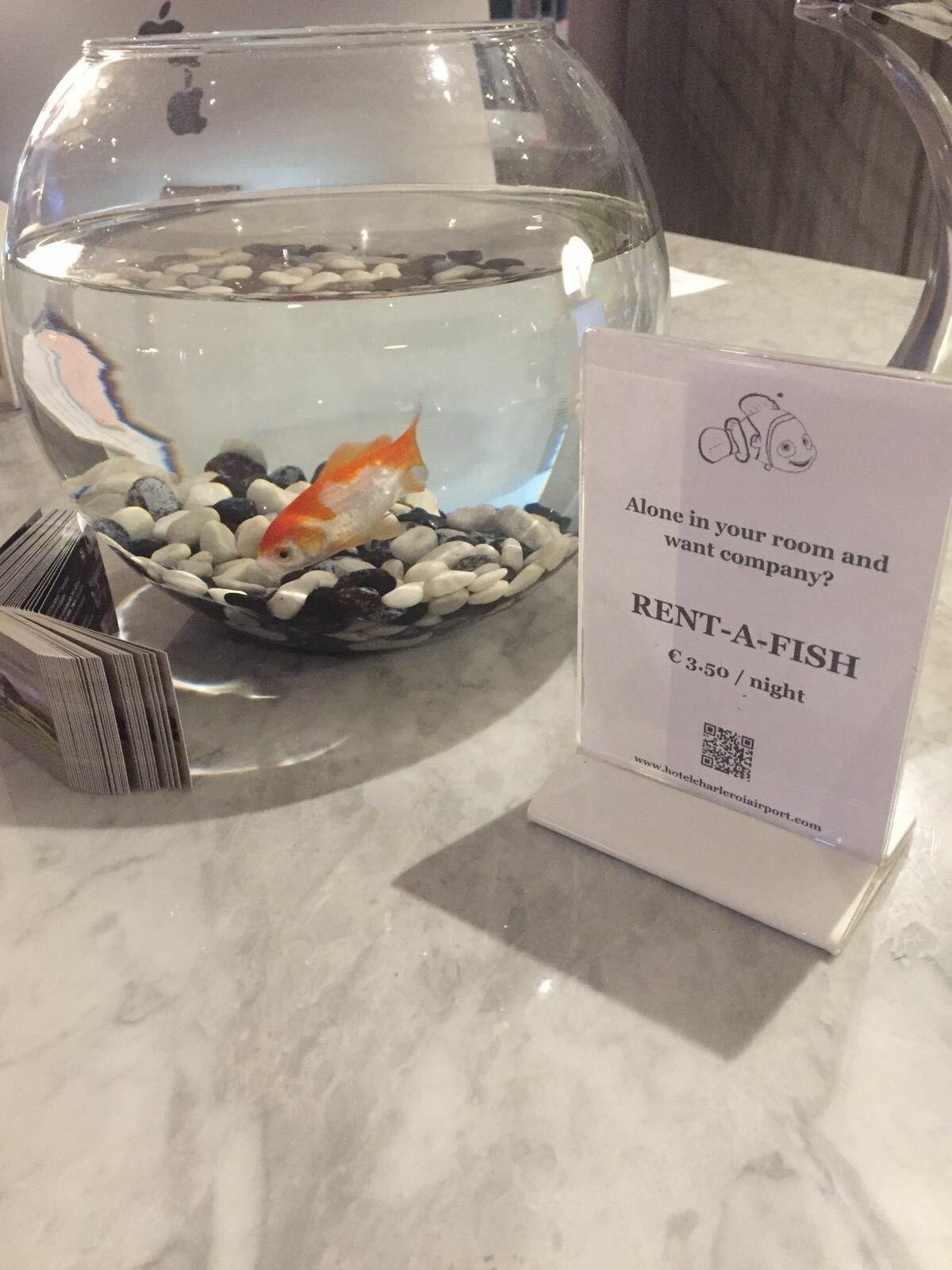 In a hotel in Europe - Rent, Madness, Оригинально, A fish