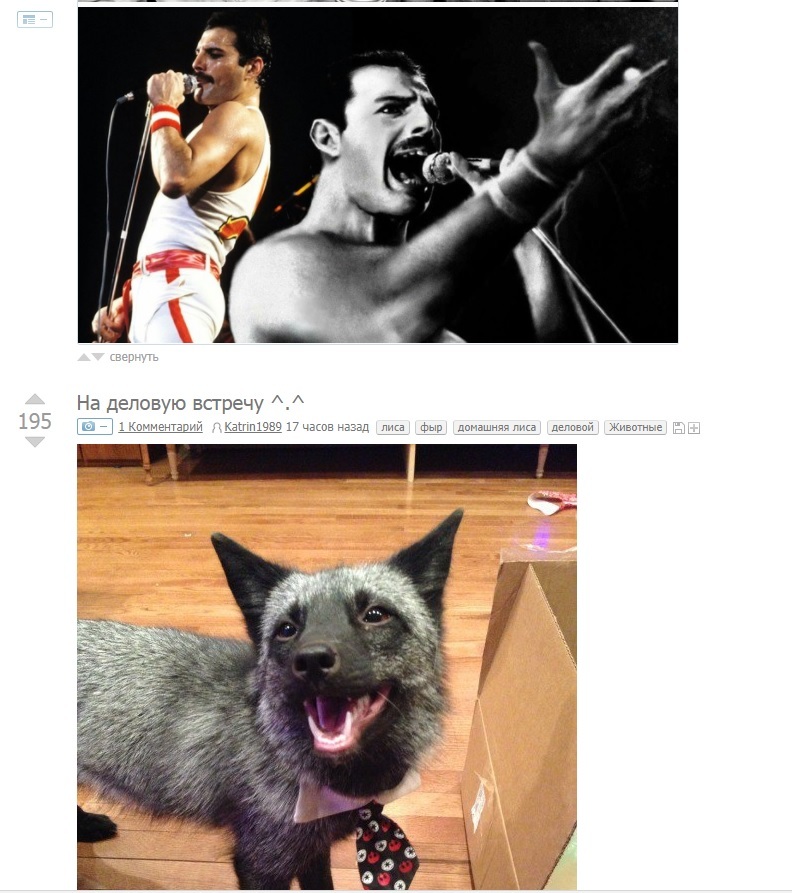 It didn't take long for me to see the next post... - Freddie Mercury, Fox