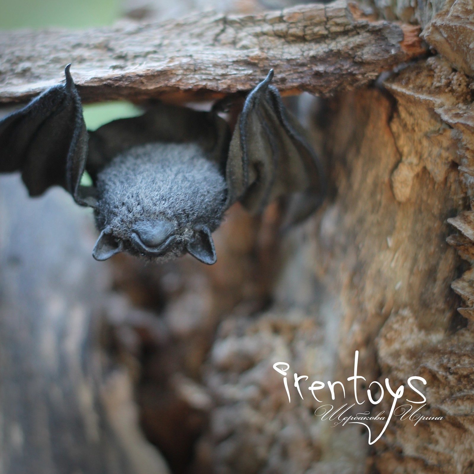 Bat - My, Toys, Bat, Needlework without process, Handmade, Handmade, , Longpost