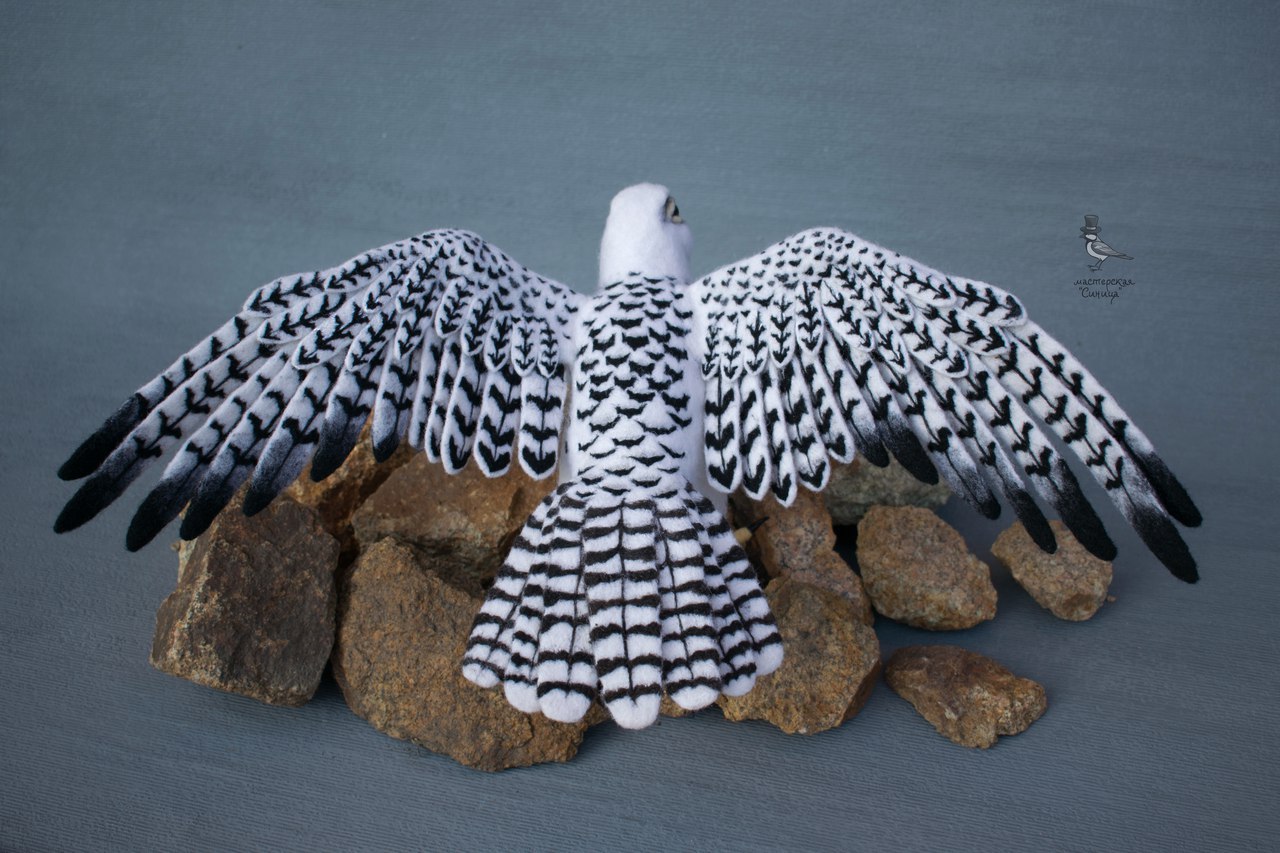 White gyrfalcon. dry felting - My, Needlework without process, Falcon, Merlin, Dry felting, My, Birds, Longpost