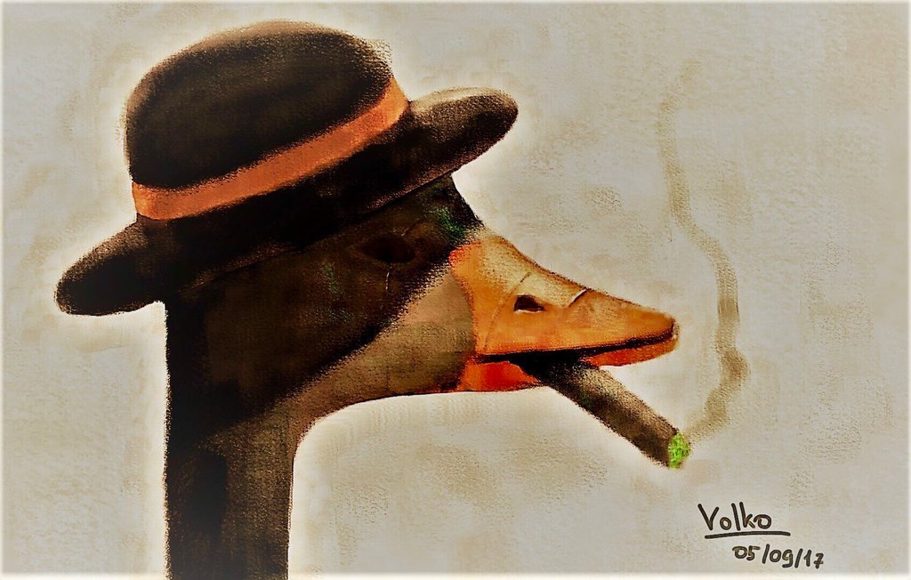 Gangsta Goose - my first experience drawing on a tablet out of my head - My, Digital drawing, Drawing, Creation, My, Art