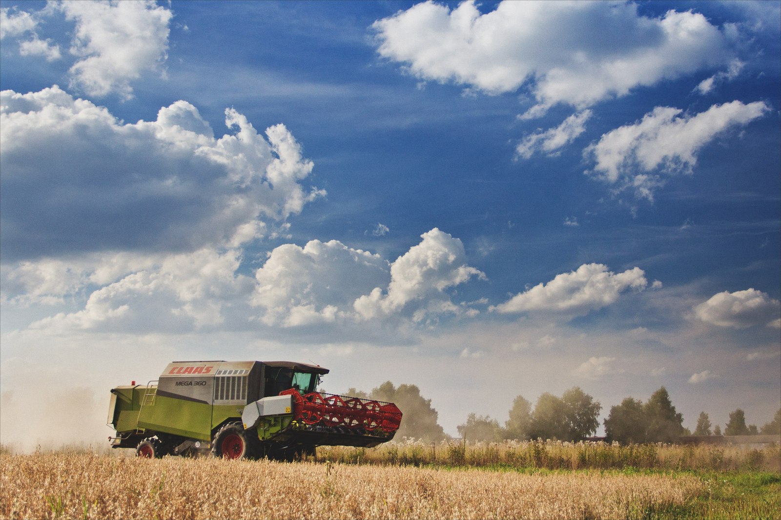 Grain harvesting - My, Combine harvester, Field, Summer, Crops, Сельское хозяйство, Claas, The photo