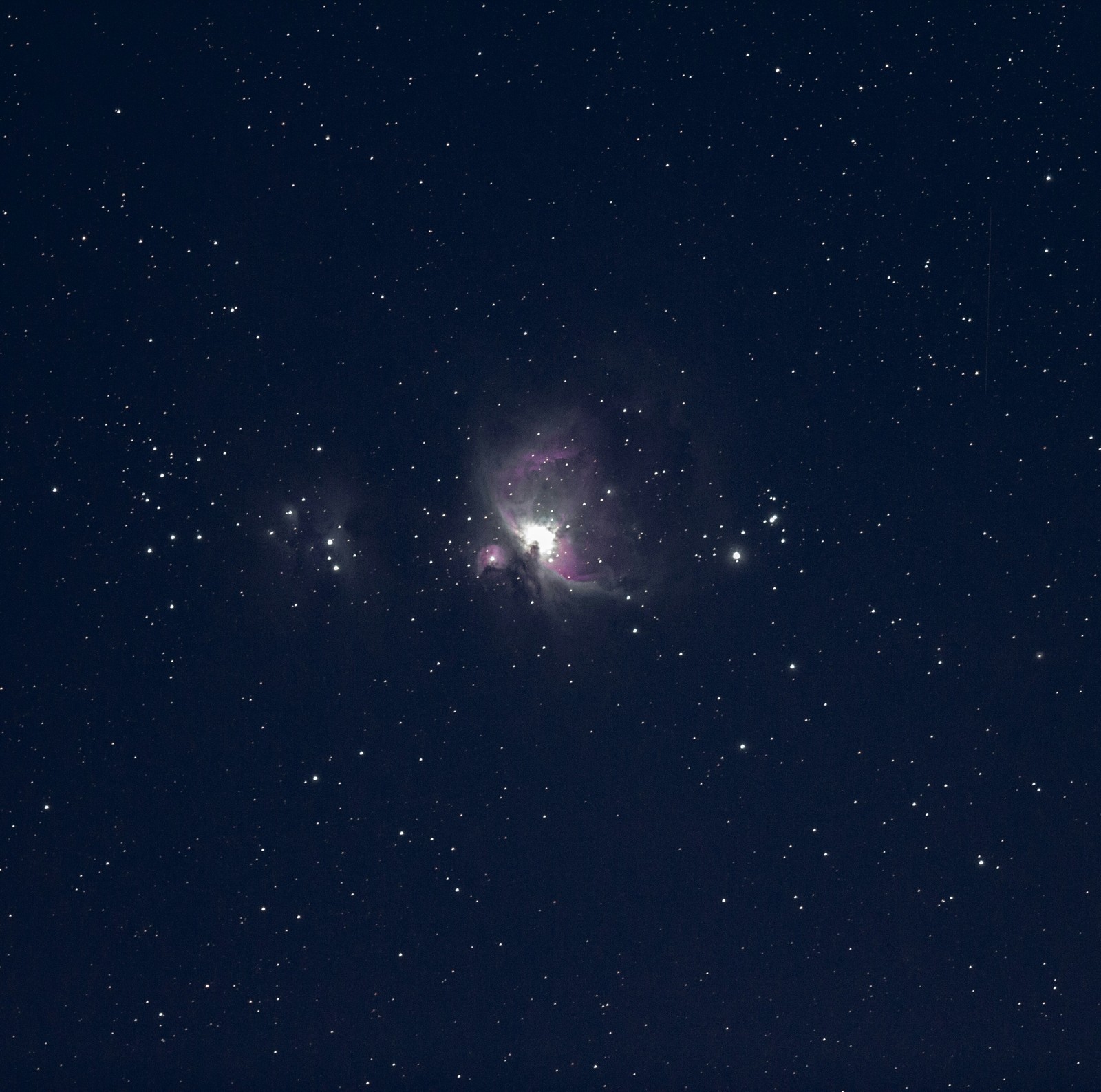 Orion's Great Nebula - My, Astrophoto, Orion, Orion nebula, , Space, Nebula, Night