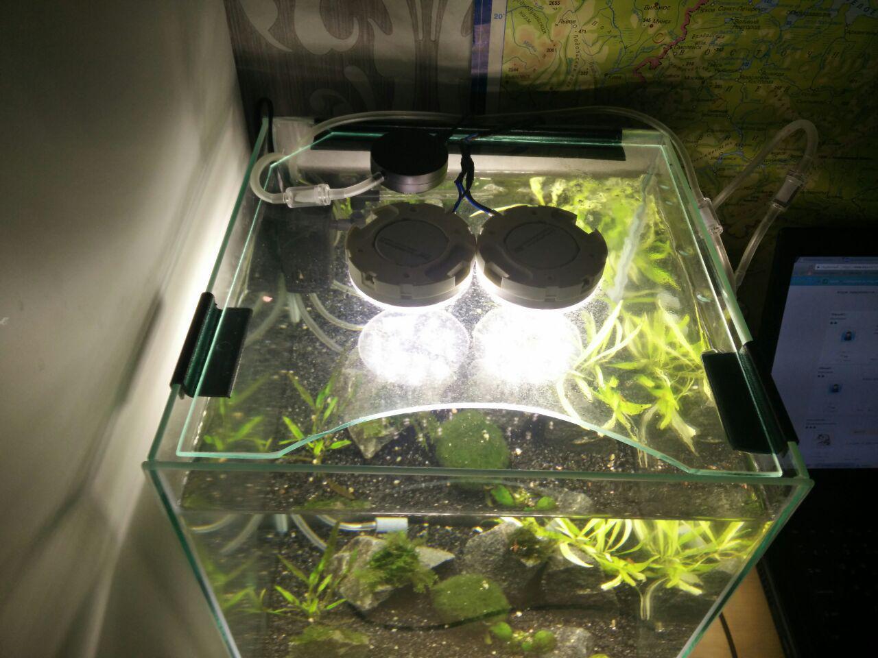 Auto light in an aquarium on Arduino and what lamps shine in my aquariums. - My, Lighting, , Longpost