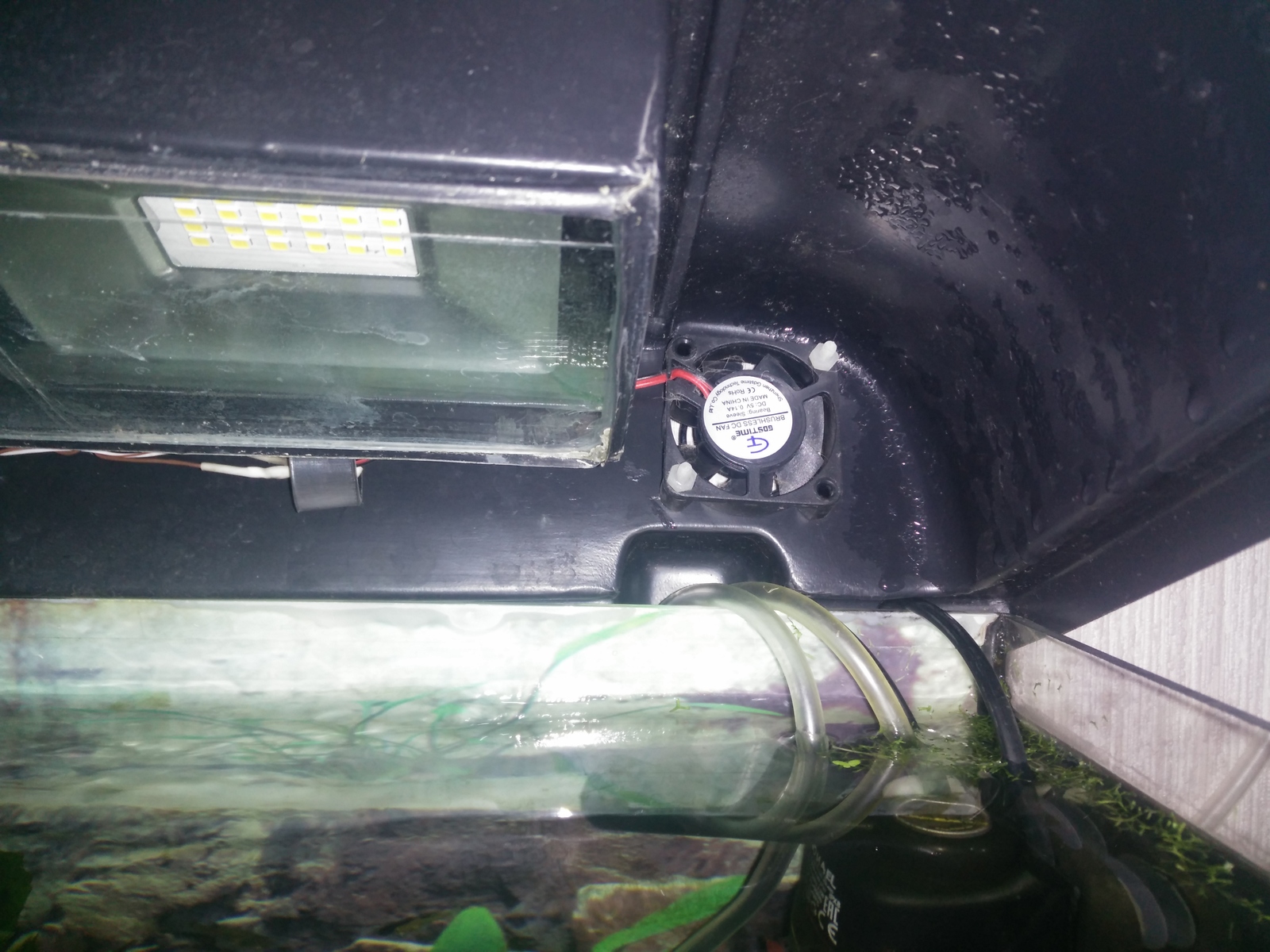 Auto light in an aquarium on Arduino and what lamps shine in my aquariums. - My, Lighting, , Longpost