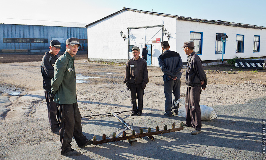 фку ик 10 самарская область. ик 33 хакасия. курдояки красноярский кп 48. фку ик 35 пермский край. фку ик-1 уфсин россии.