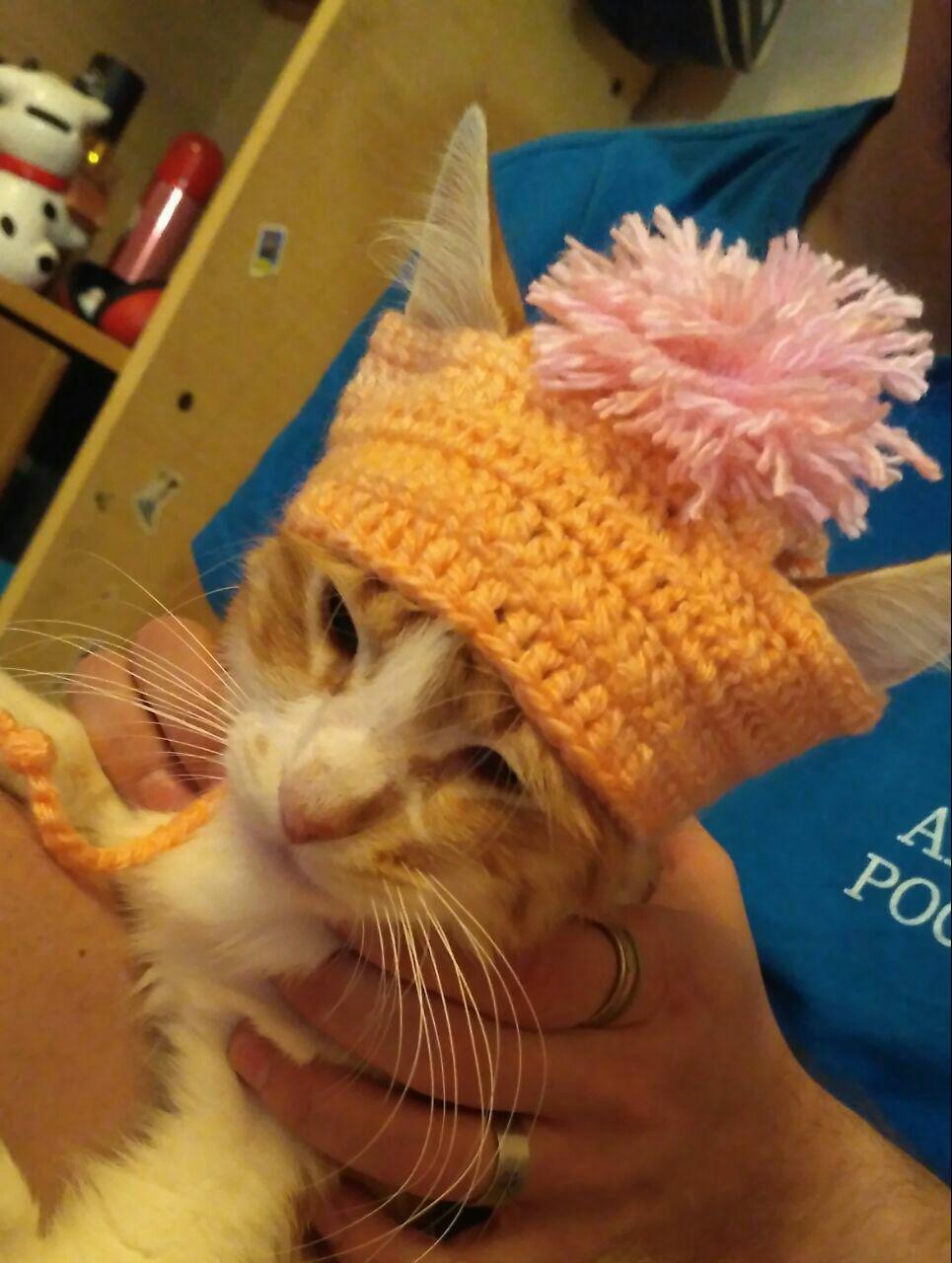 Cap - My, cat, Knitting, Crochet