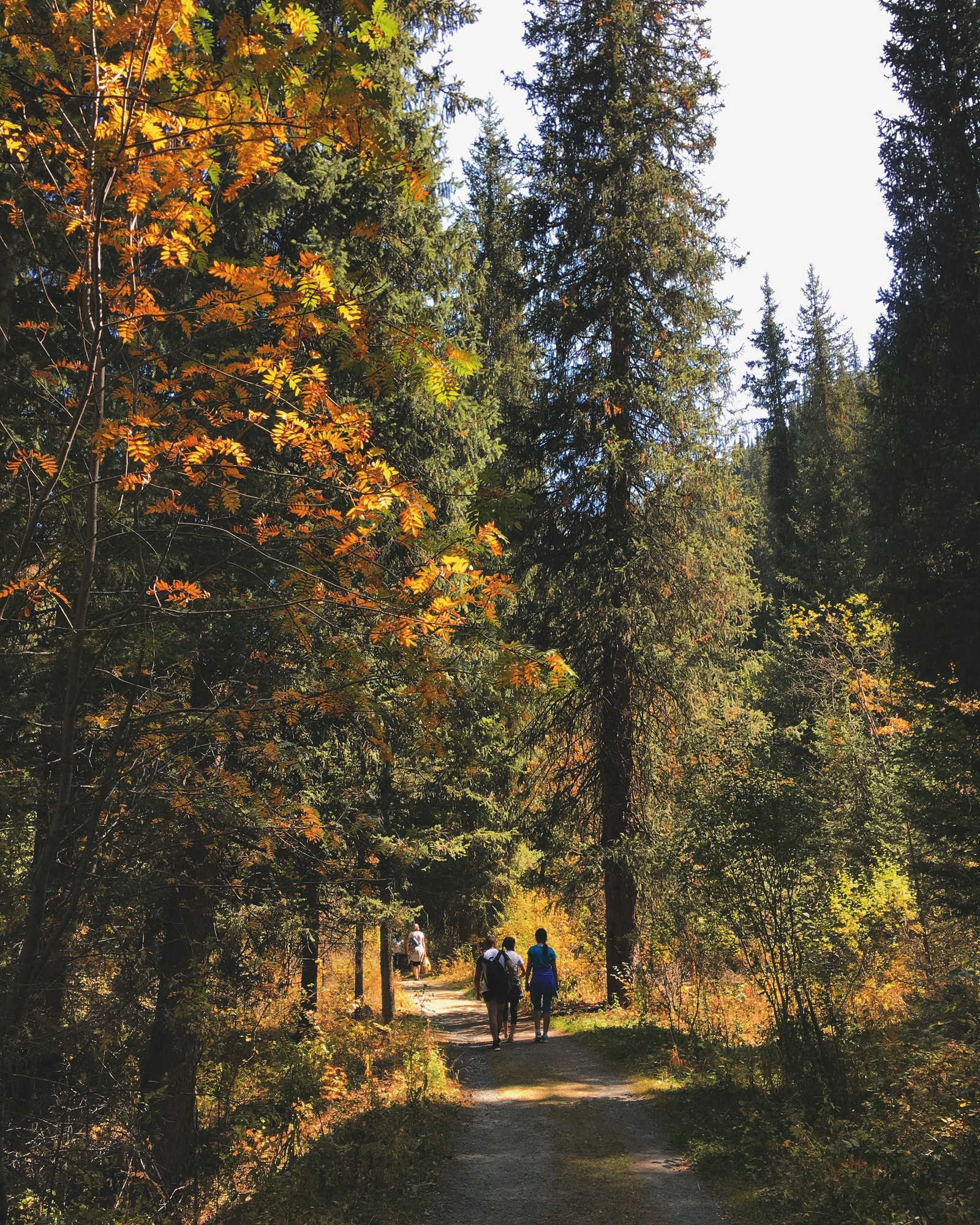 Turgen gorge, Almaty region, Kazakhstan - My, The mountains, Road, Travels, Autumn, The photo, My, Kazakhstan, Longpost