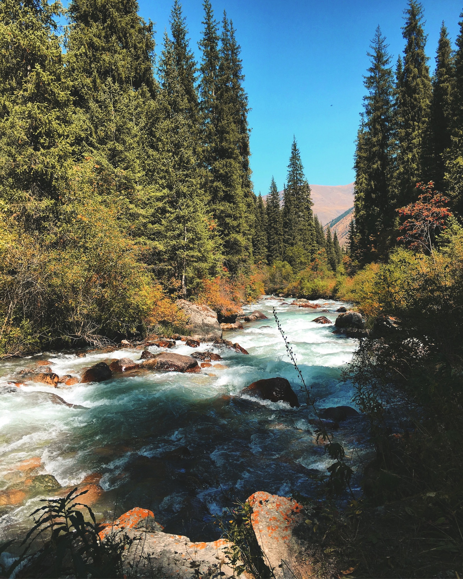 Turgen gorge, Almaty region, Kazakhstan - My, The mountains, Road, Travels, Autumn, The photo, My, Kazakhstan, Longpost