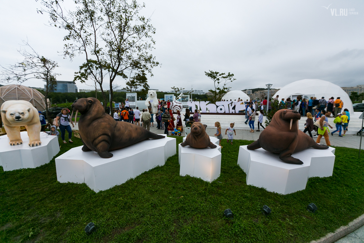 You Primorsky people are wild people: Street of the Far East counts the losses after the raid of the townspeople. - , Vef, Vladivostok, Russian island, Longpost