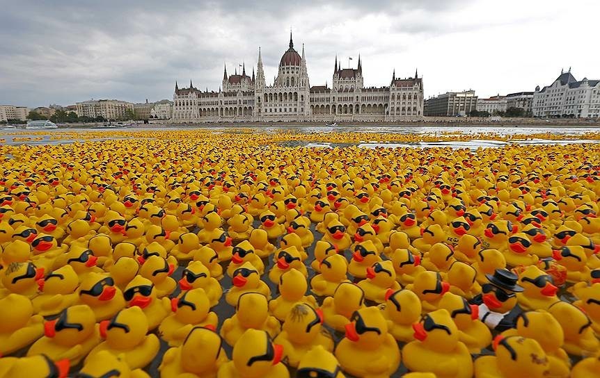 The seat of the Hungarian Parliament on the banks of the Danube in Budapest - Hungary, Parliament, Building, Duck house, Longpost