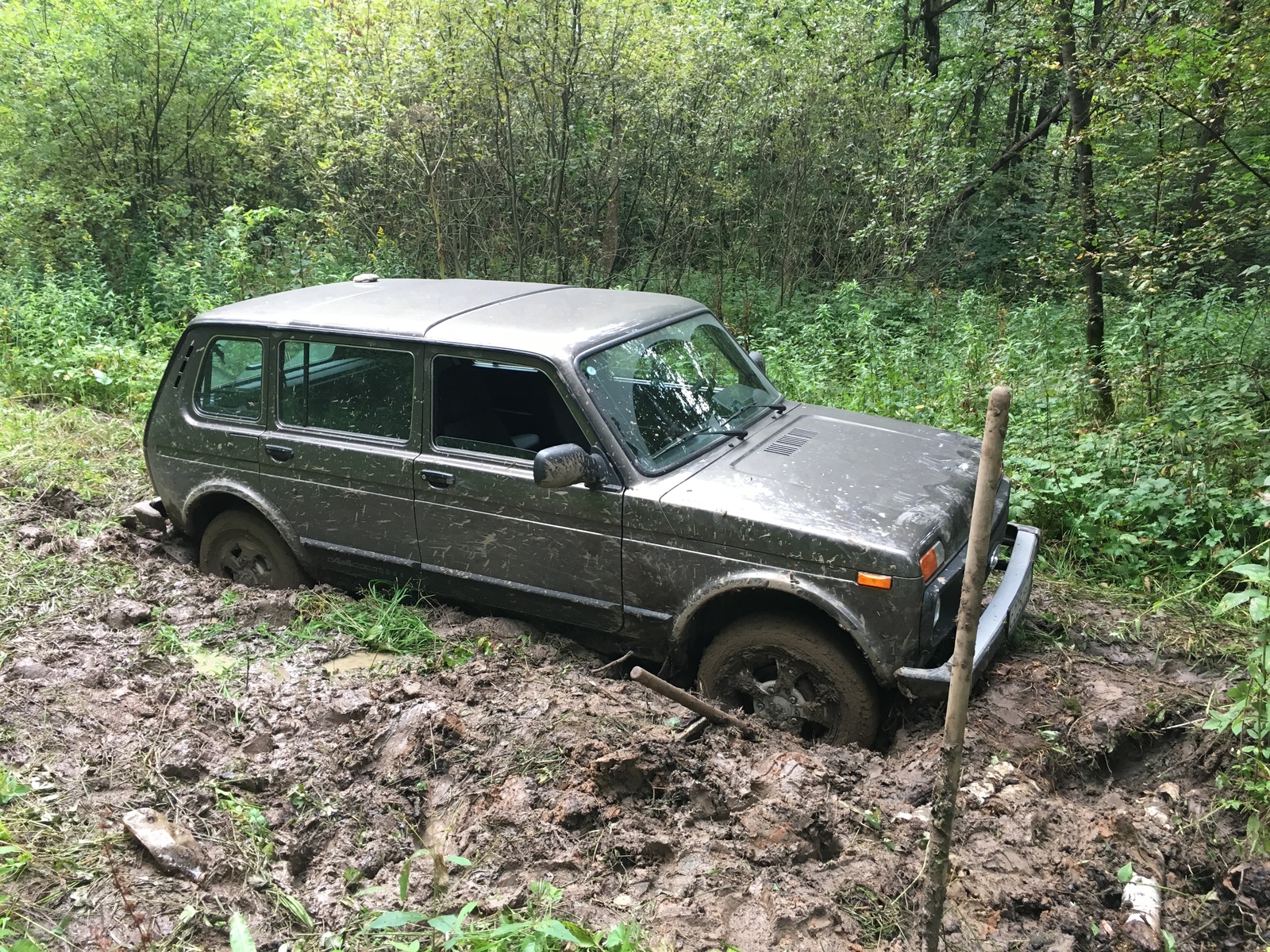 How I used the navigator or why the Germans did not reach Moscow - My, Yandex., Niva, Navigator, Yandex Navigator, Evacuation, Longpost