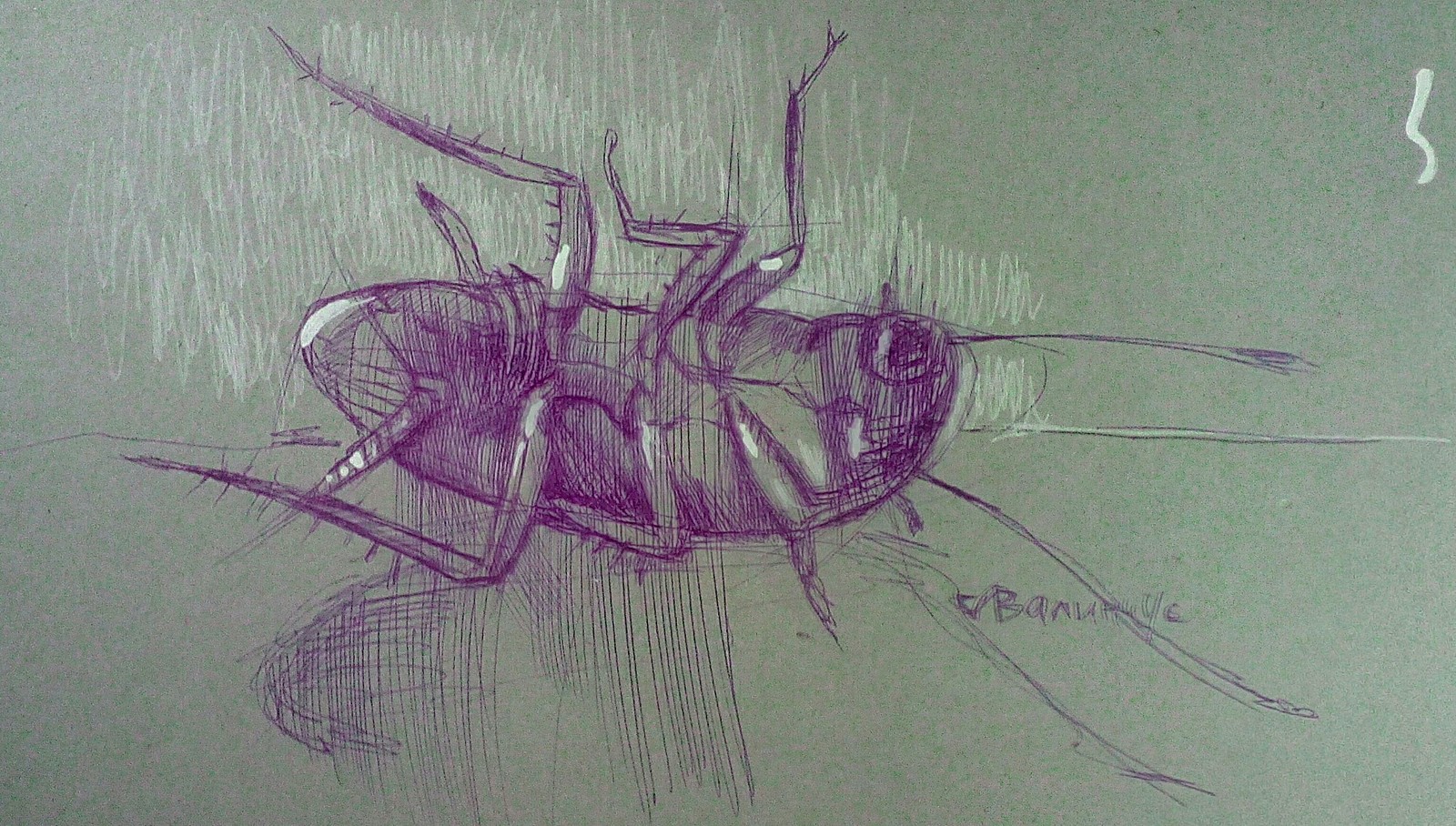 Рисунок | Пикабу