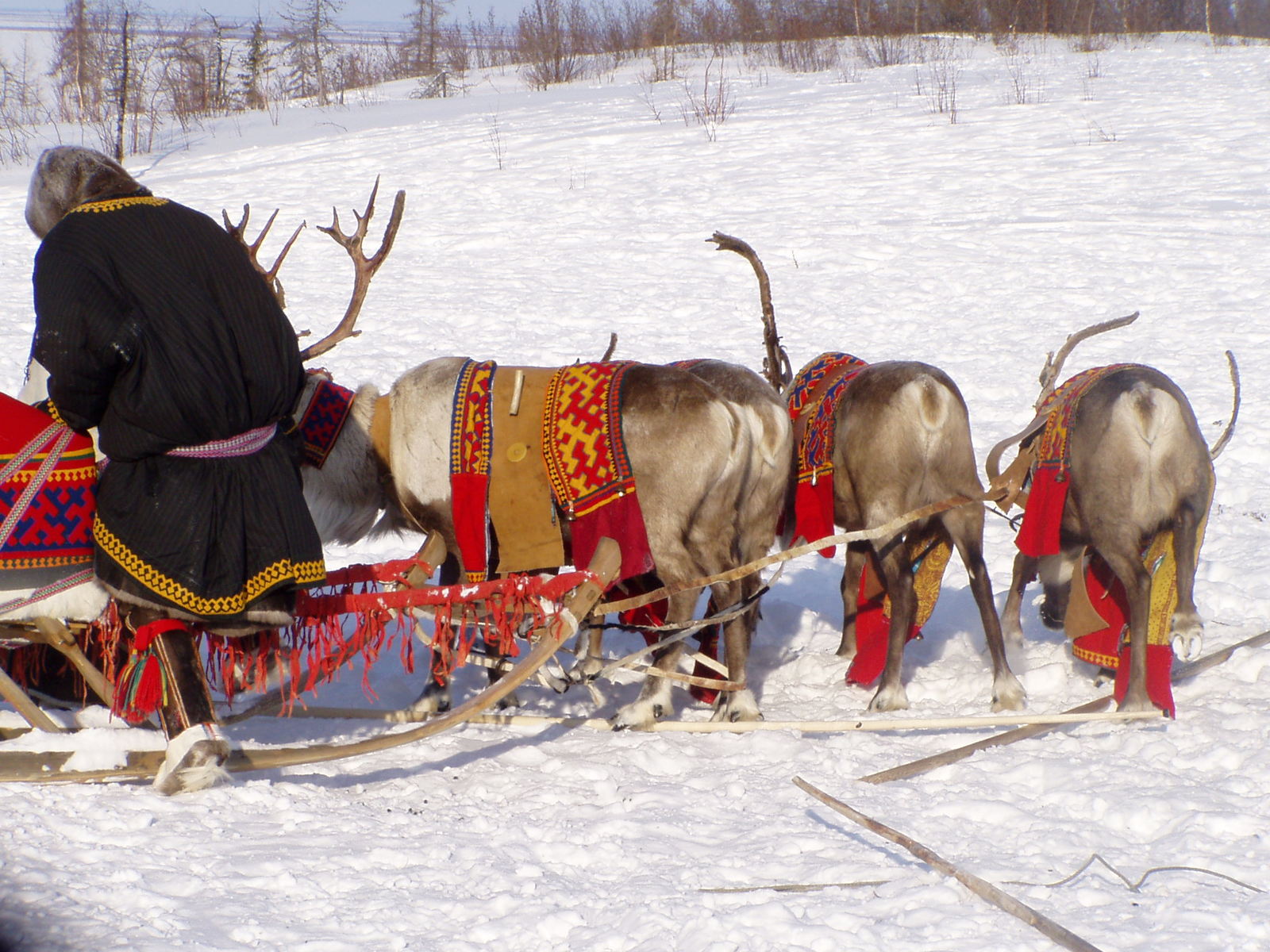 Wedding in the tundra - 4 - My, Wedding, Tundra, Yamal, Longpost