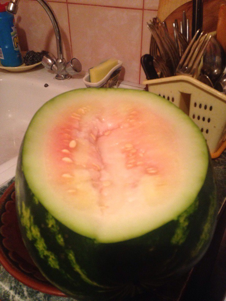 cool watermelon - My, Watermelon, Deception