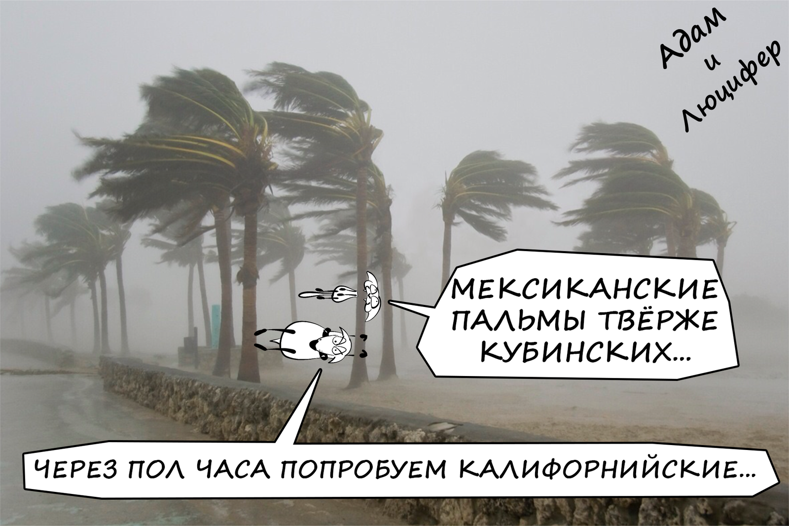 Hurricane Irma cartoon - My, Hurricane, Hurricane Irma, Caricature, Picture with text, Adam and Lucifer