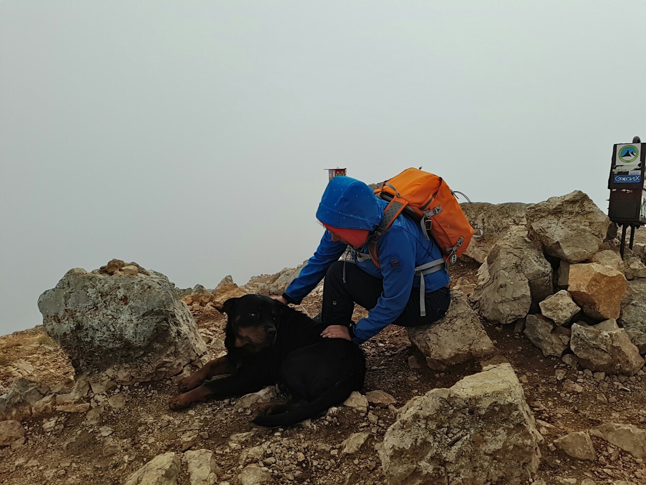 An unexpected companion - My, Dog, superdog, Fellow travelers, Good boy, The mountains, King of the hill, Montenegro, Longpost