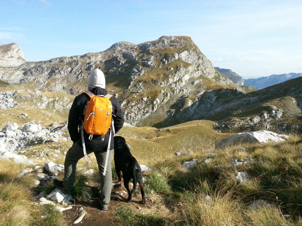 An unexpected companion - My, Dog, superdog, Fellow travelers, Good boy, The mountains, King of the hill, Montenegro, Longpost