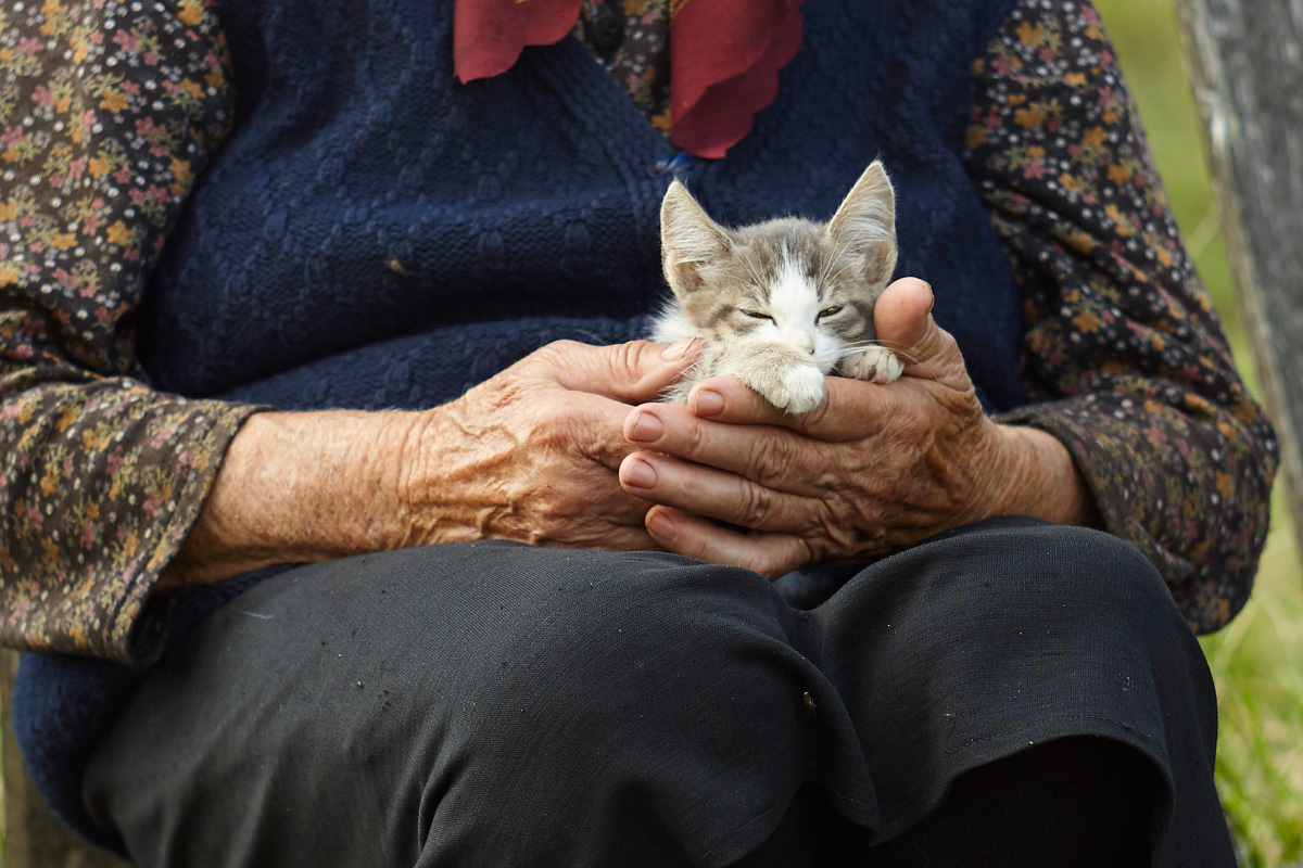 Фото бабушки с котом