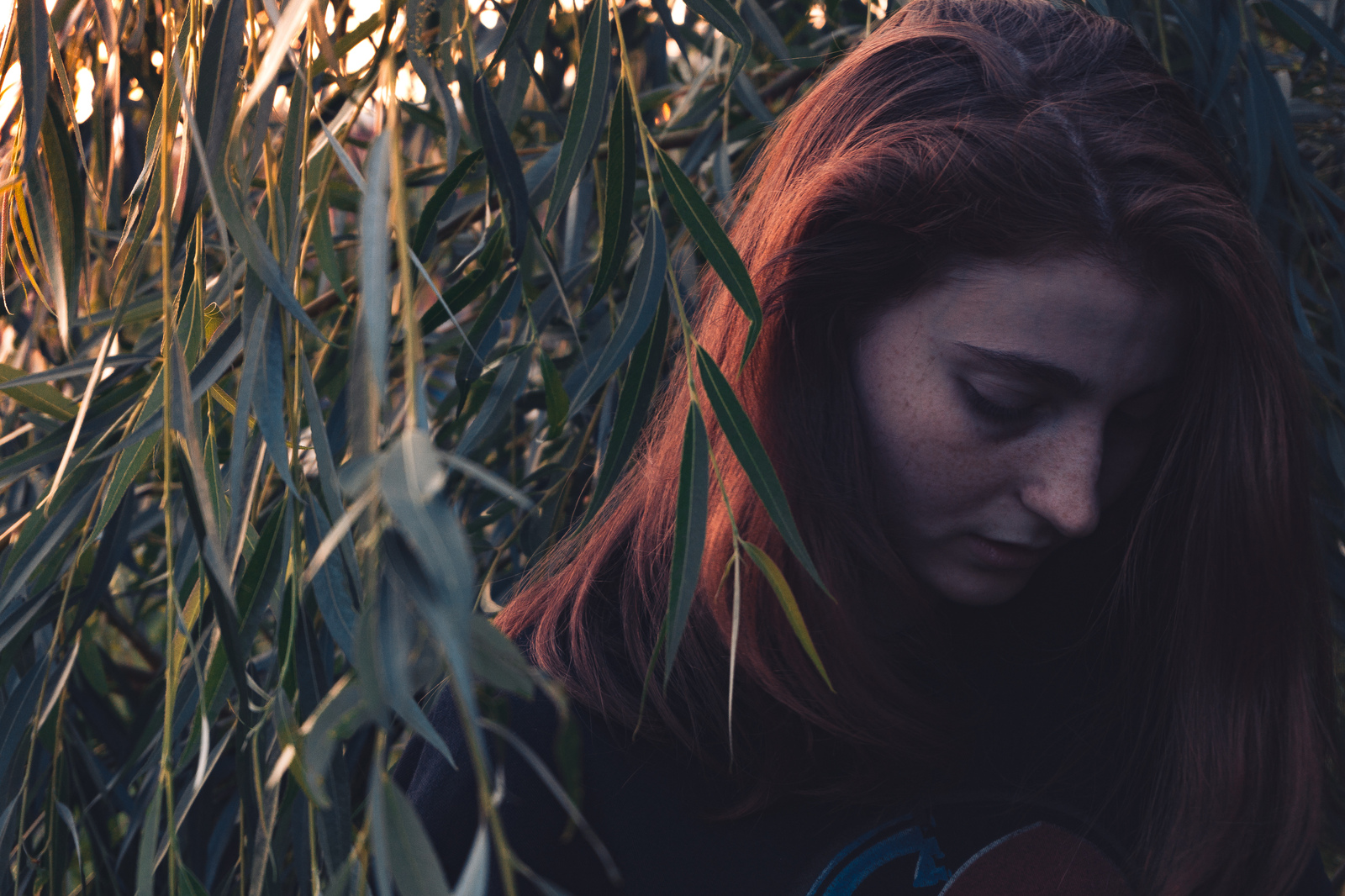 In the darkness I'll meet my creators - Моё, Sony, Sony a6000, Закат, Рыжие