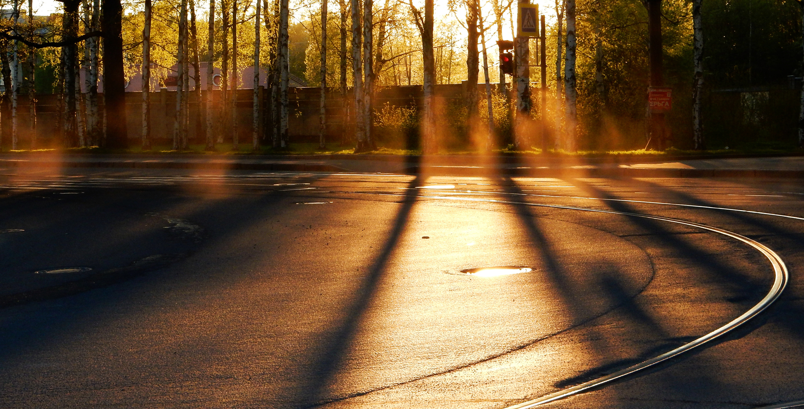 Beams - My, The sun, Road, Shadow