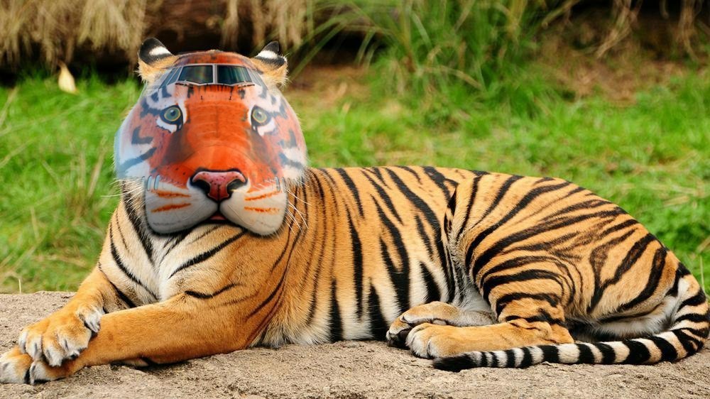 It is a masterpiece! - Tiger, Livery, Head