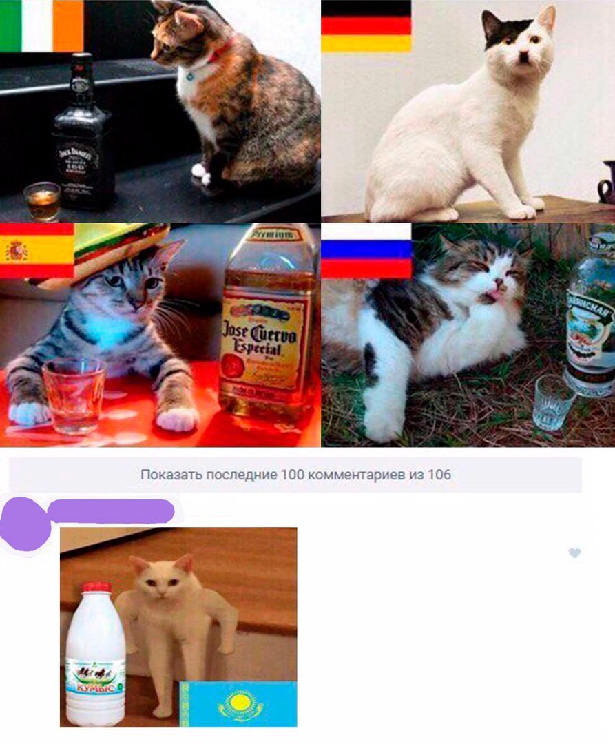 Countries and drinking cats. - cat, Country, Kazakhstan, Memes