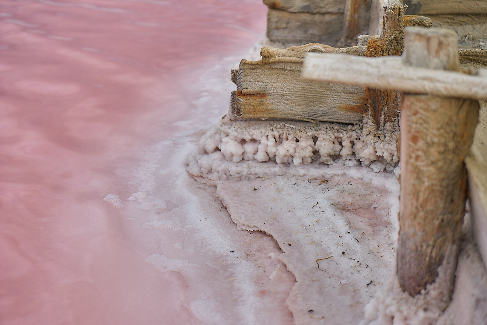 Salt is mined here. Salt lakes near the city of Saki (Crimea). Some species are simply Martian). Shot on Sony A7, 24-70/4 ZA - My, Longpost, Landscape, Sony