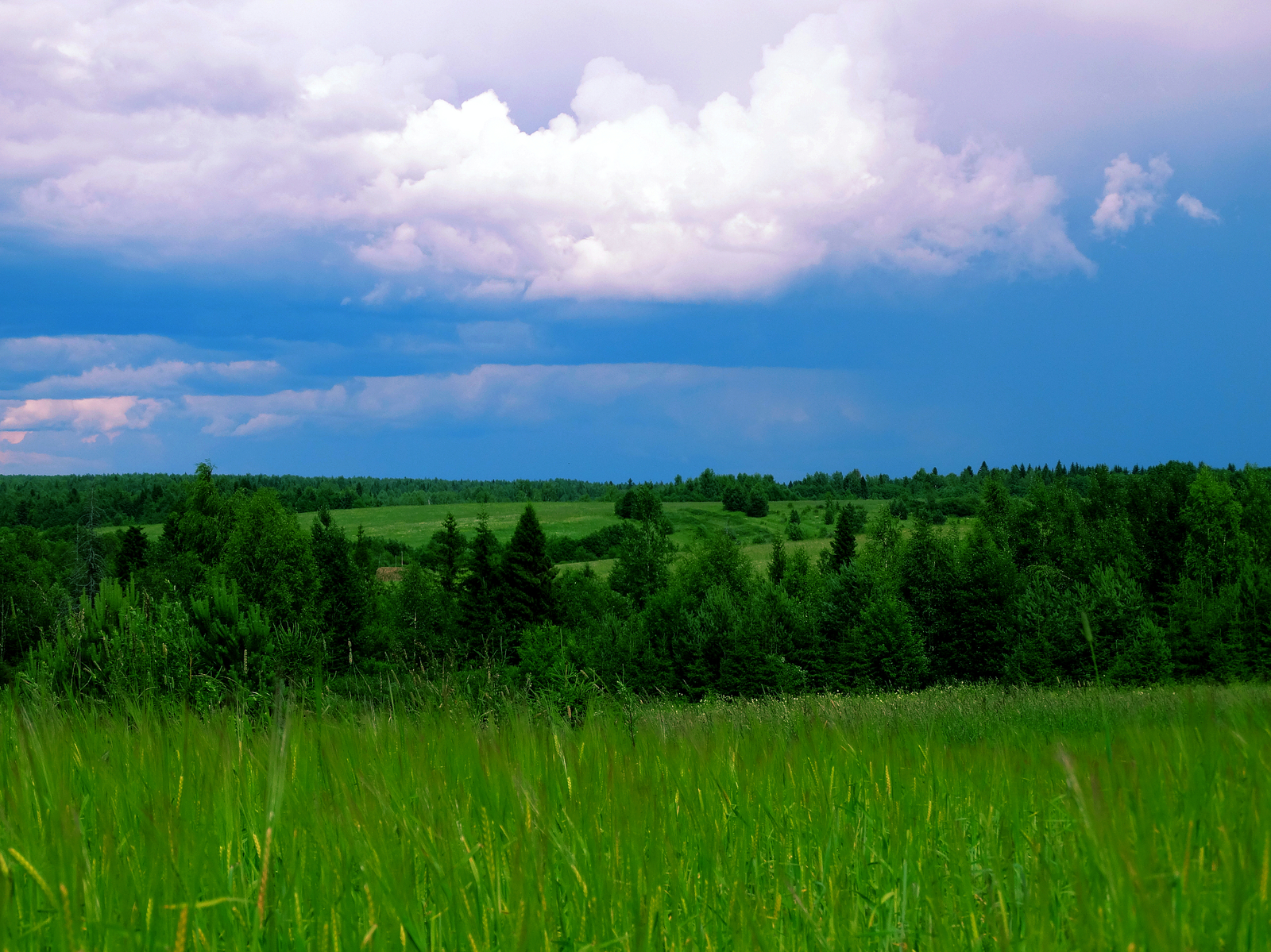 Summer - My, Summer, Field, Forest, Nature, Clouds