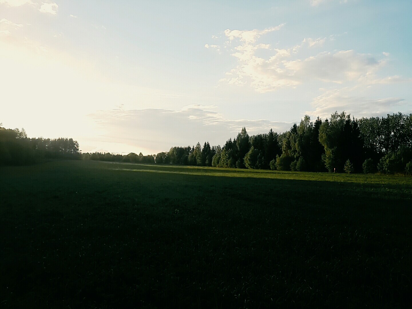 Beauty is in the details [6] - My, Nature, Republic of Belarus, Tree, Minsk Sea, Longpost