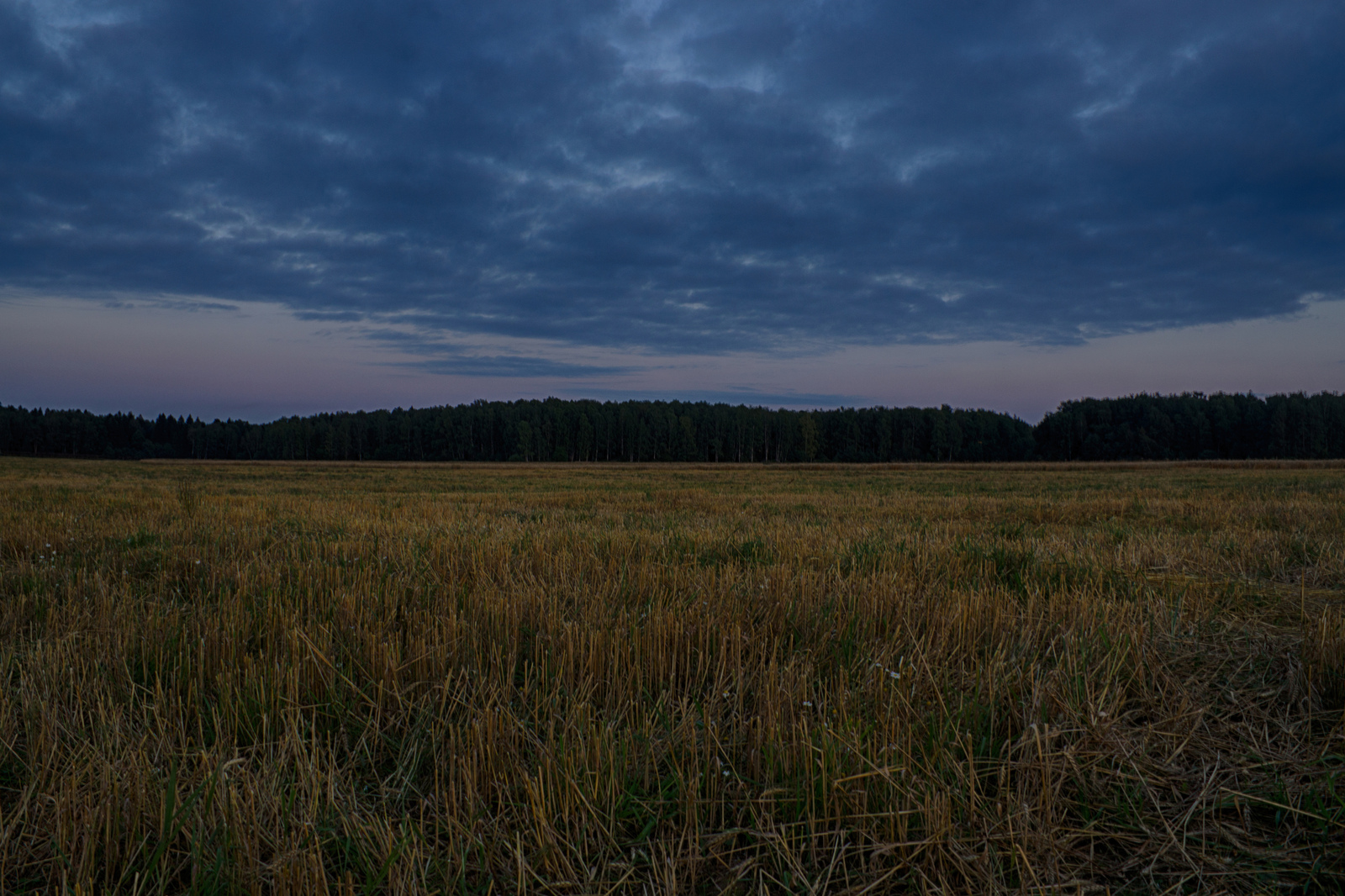 Поля. Закат. Дорога. - Лига фотографов, Закат, Поле, Дорога, Фотограф, Хочу критики, Фотография, Длиннопост