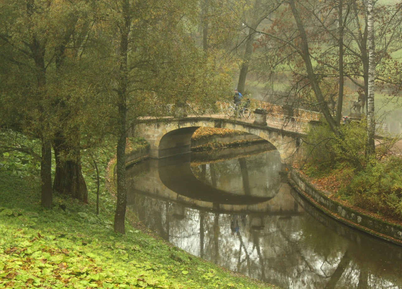 In Pavlovsky park - My, Landscape, Pavlovsk, The park, Fog, Longpost