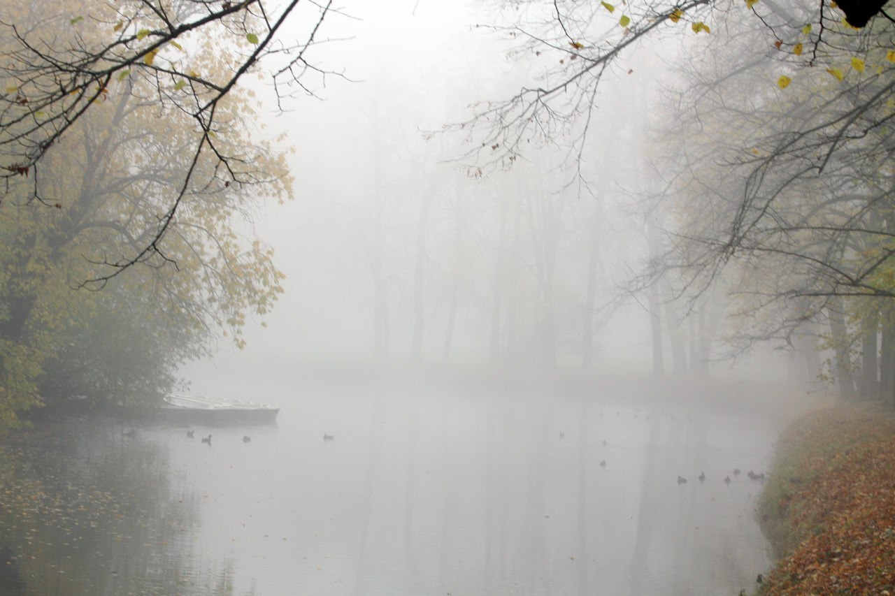 In Pavlovsky park - My, Landscape, Pavlovsk, The park, Fog, Longpost