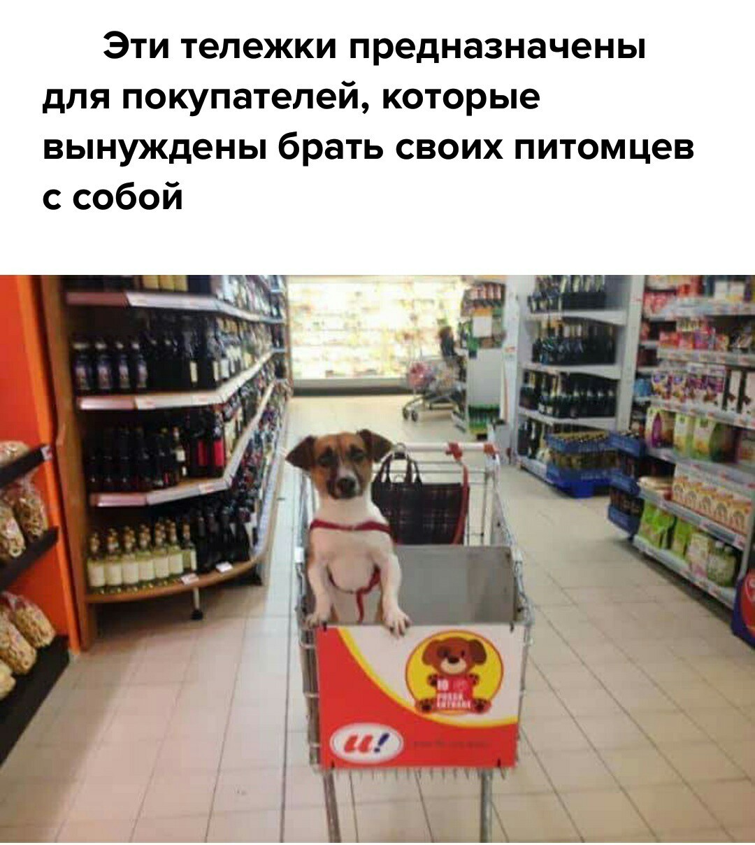 1505846346129257836.jpg