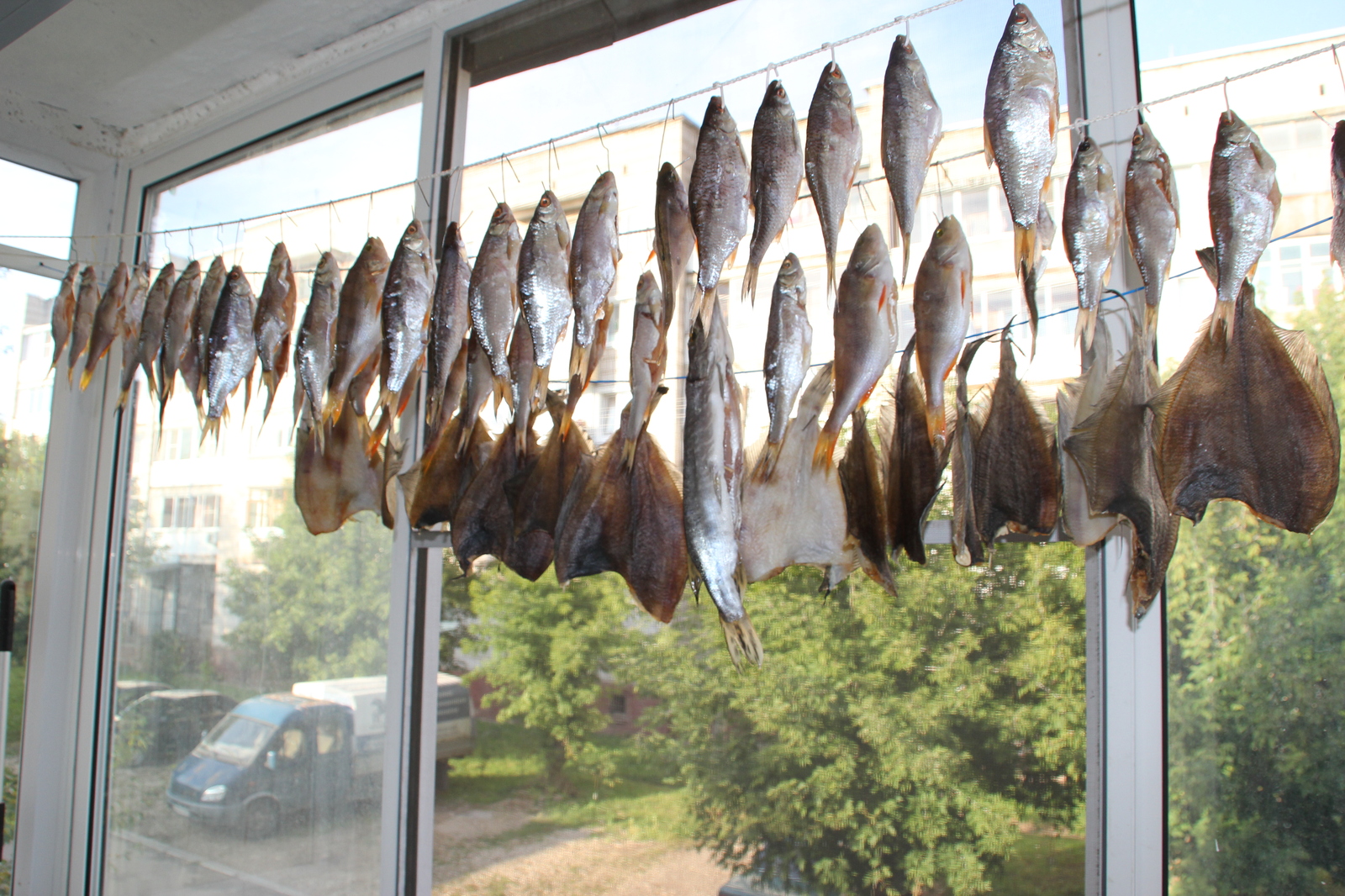 This is what my balcony looks like in the warm season - My, Fishing, Balcony