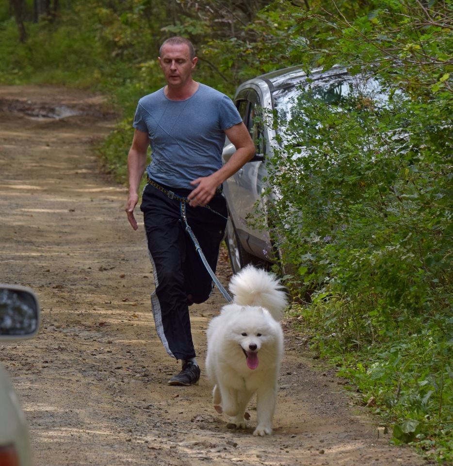 Riding sports of Primorye part 1 - My, Riding sports, Dog, Primorsky Krai, Video, Longpost