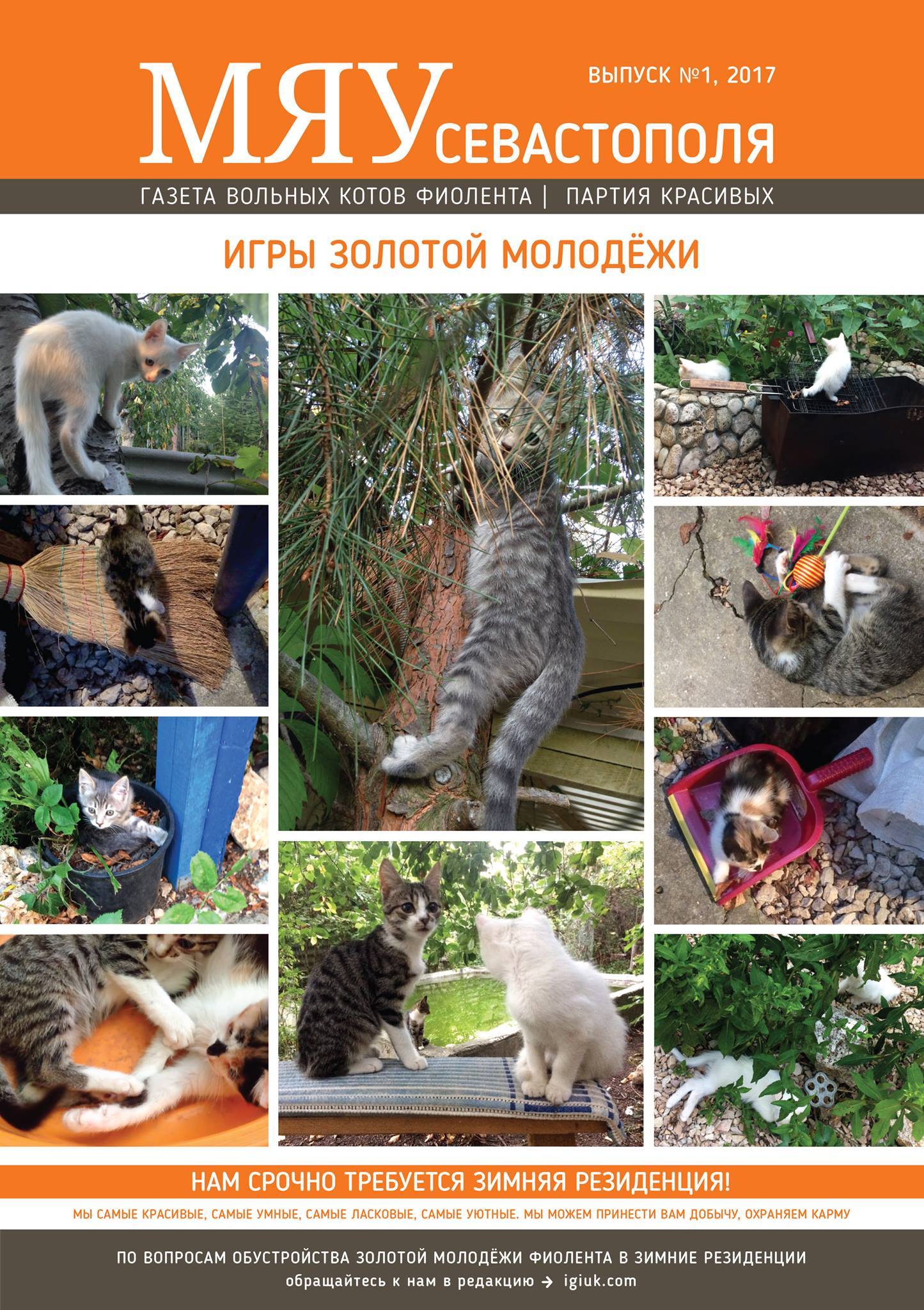 Meow of Sevastopol - the first issue of the newspaper about our Fiolent cats - cat, Crimea, cat house, , In good hands, Longpost, Pet house