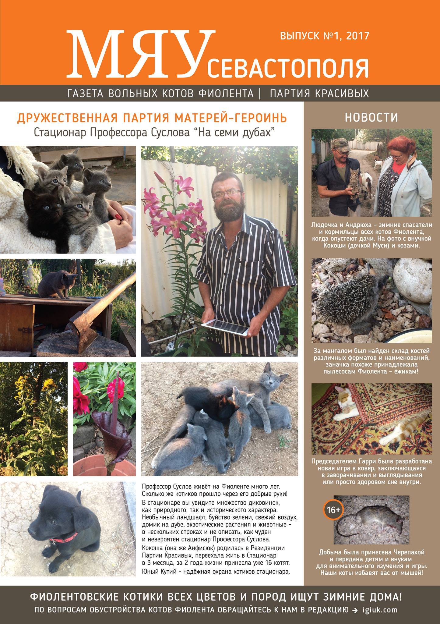 Meow of Sevastopol - the first issue of the newspaper about our Fiolent cats - cat, Crimea, cat house, , In good hands, Longpost, Pet house