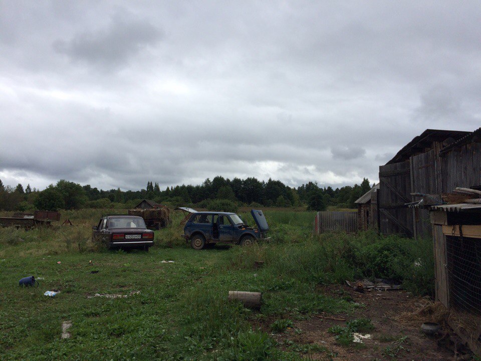 My trip to the village, for history =) - My, Village, Story, , Real life story, , Сельское хозяйство, Abandoned, Longpost