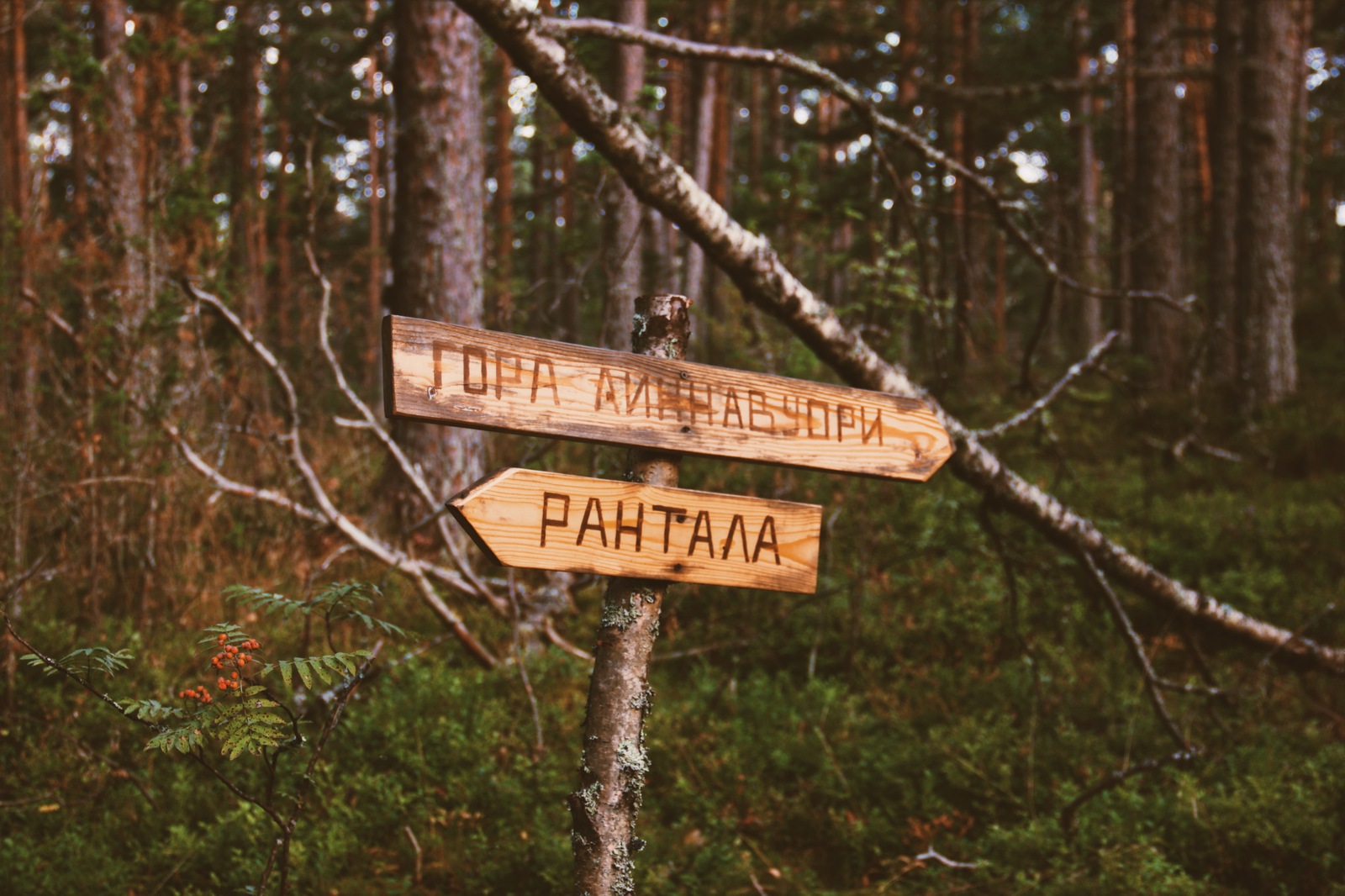 Karelia. - My, Карелия, Tourism, The photo, Road trip, Video, Travels, Nature, Russia, Longpost